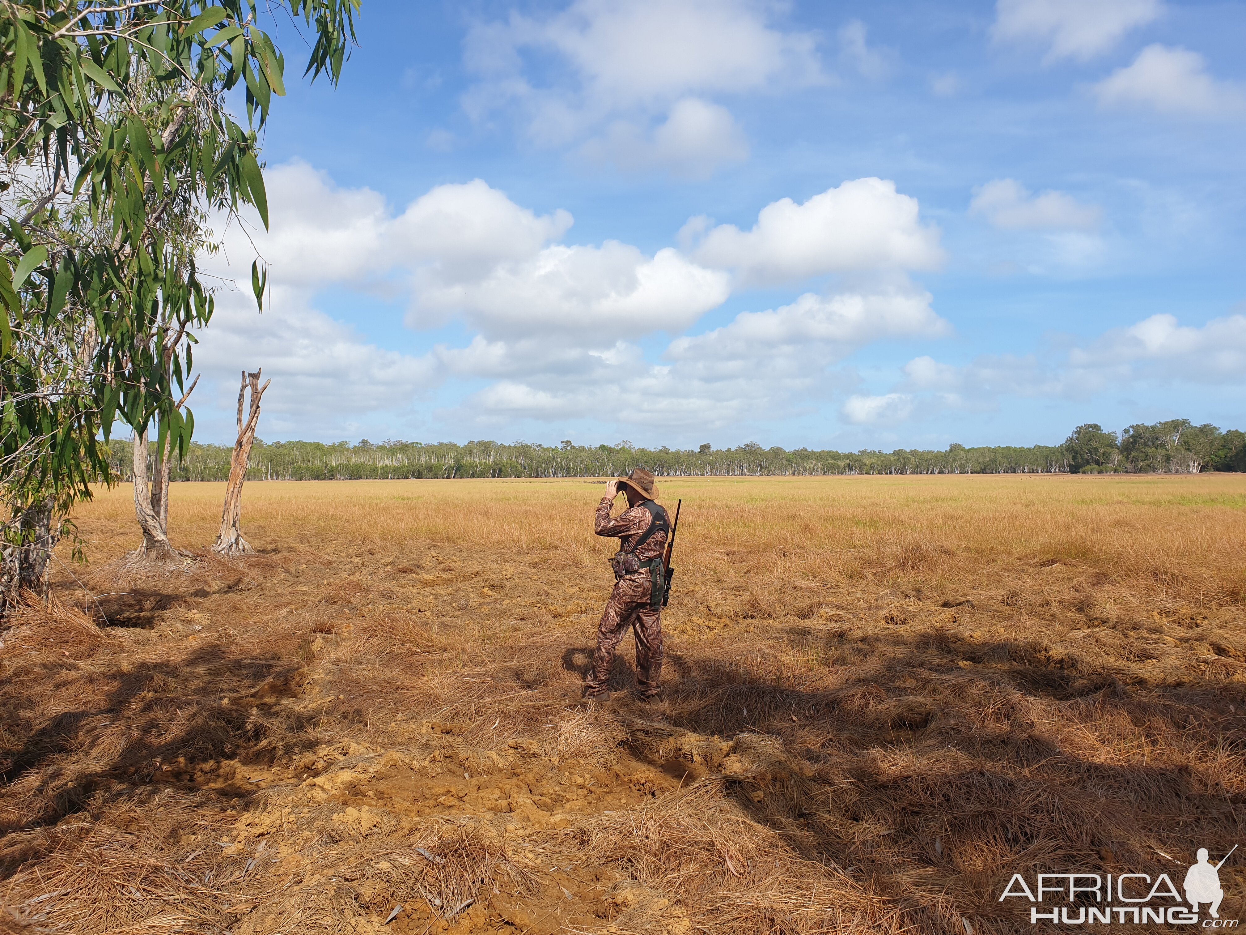 Australia Hunt Banteng