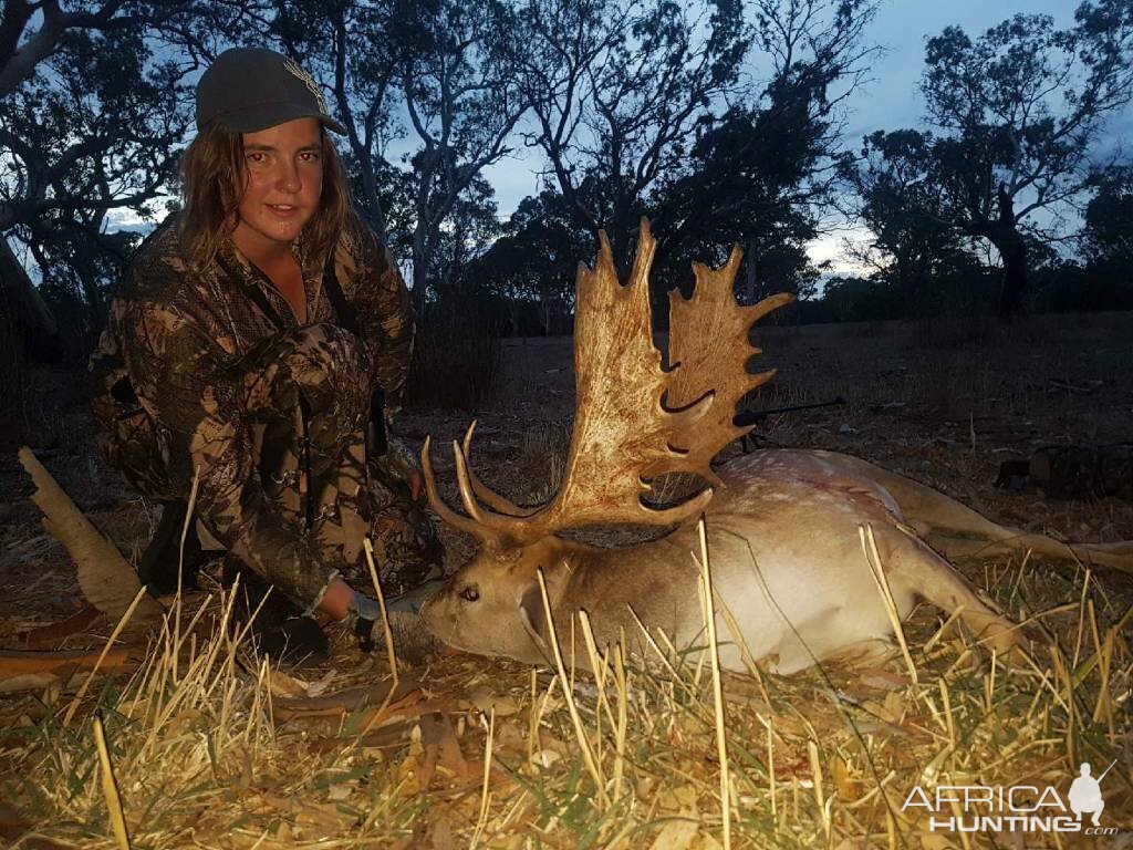 Australia Hunt Fallow Deer