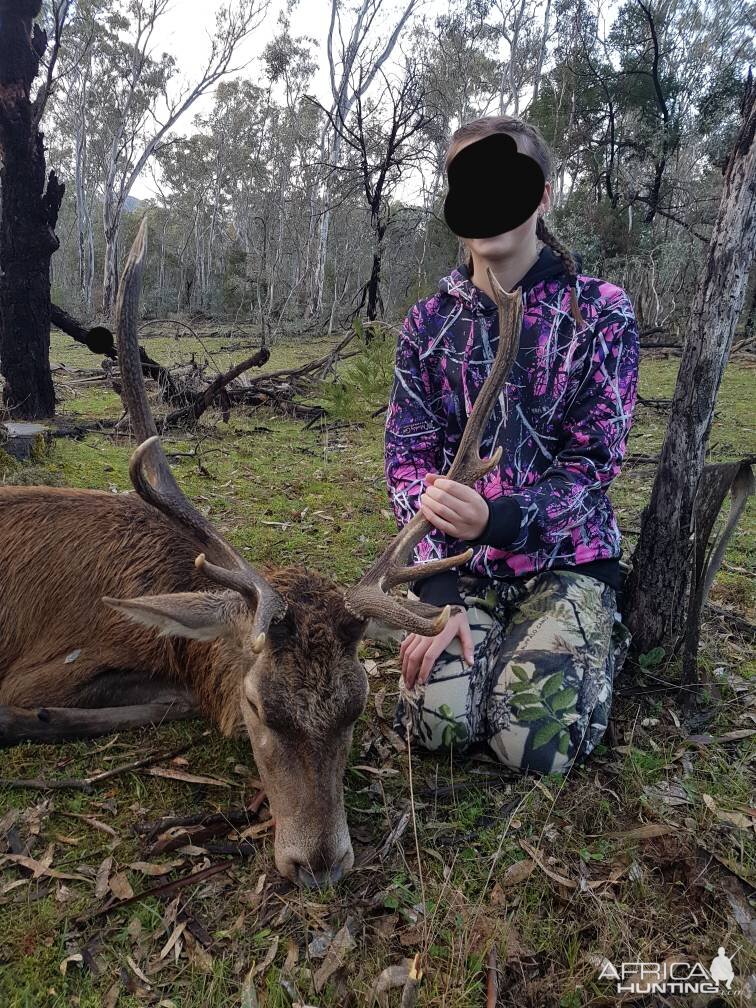 Australia Hunt Red Stag