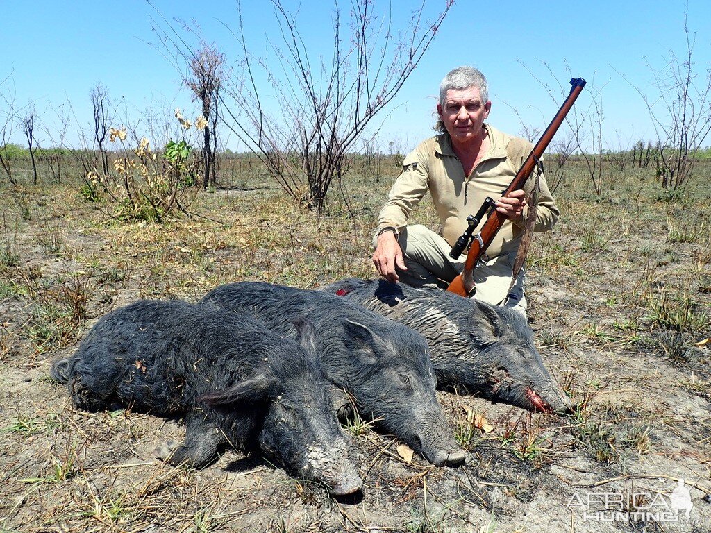 Australia Hunting Boars