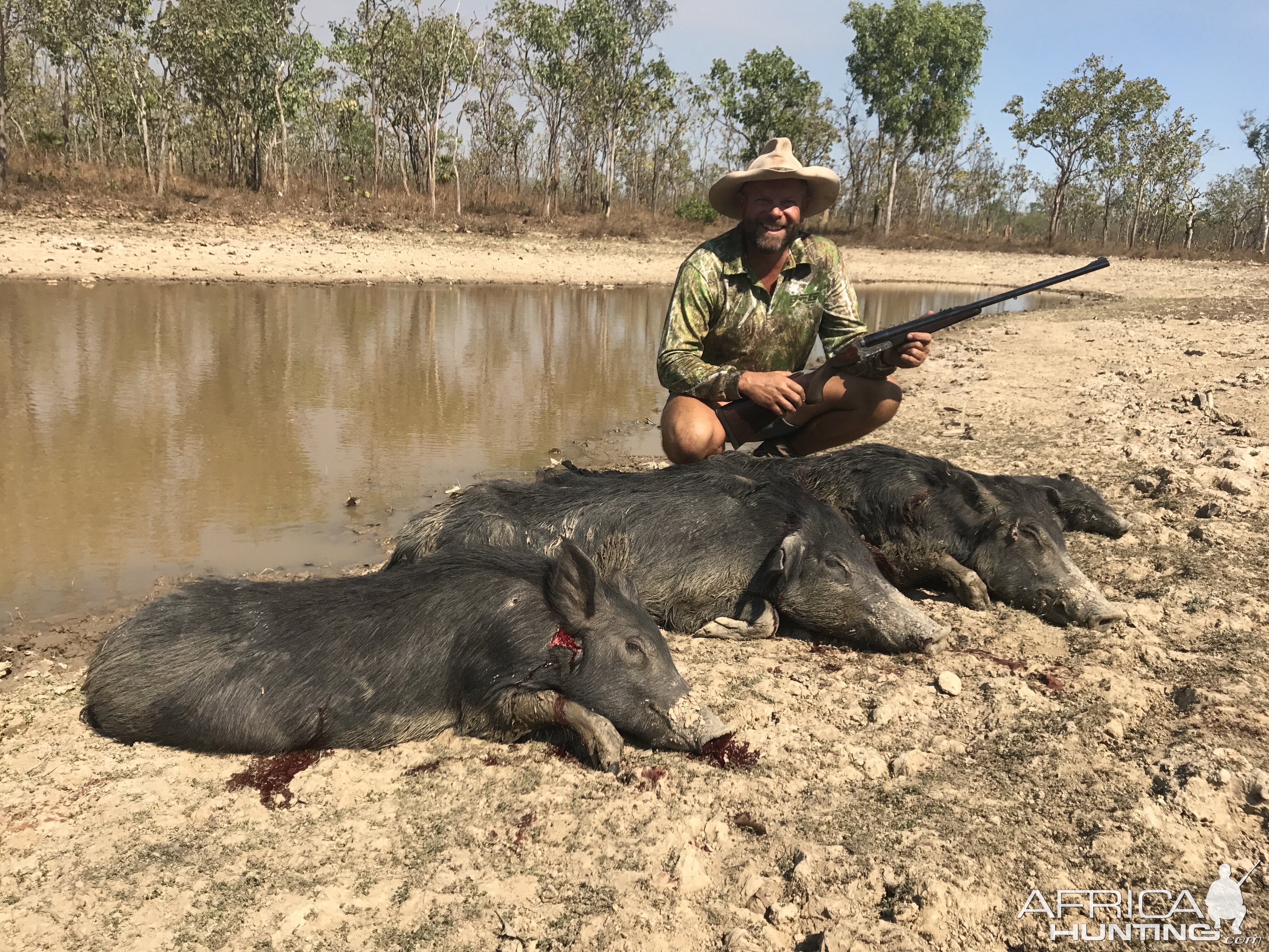 Australia Hunting Pigs