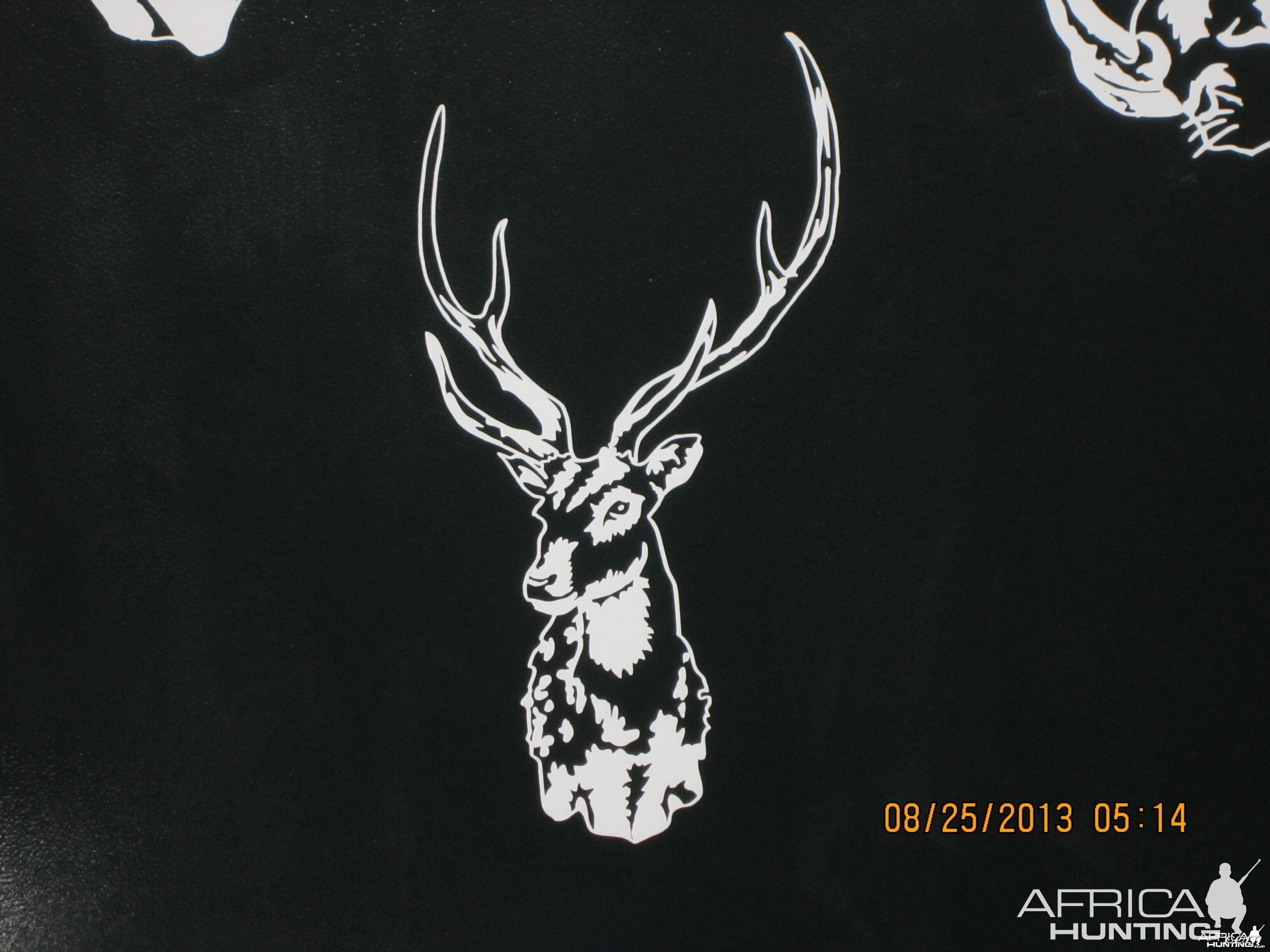 Axis Deer Decal Stickers