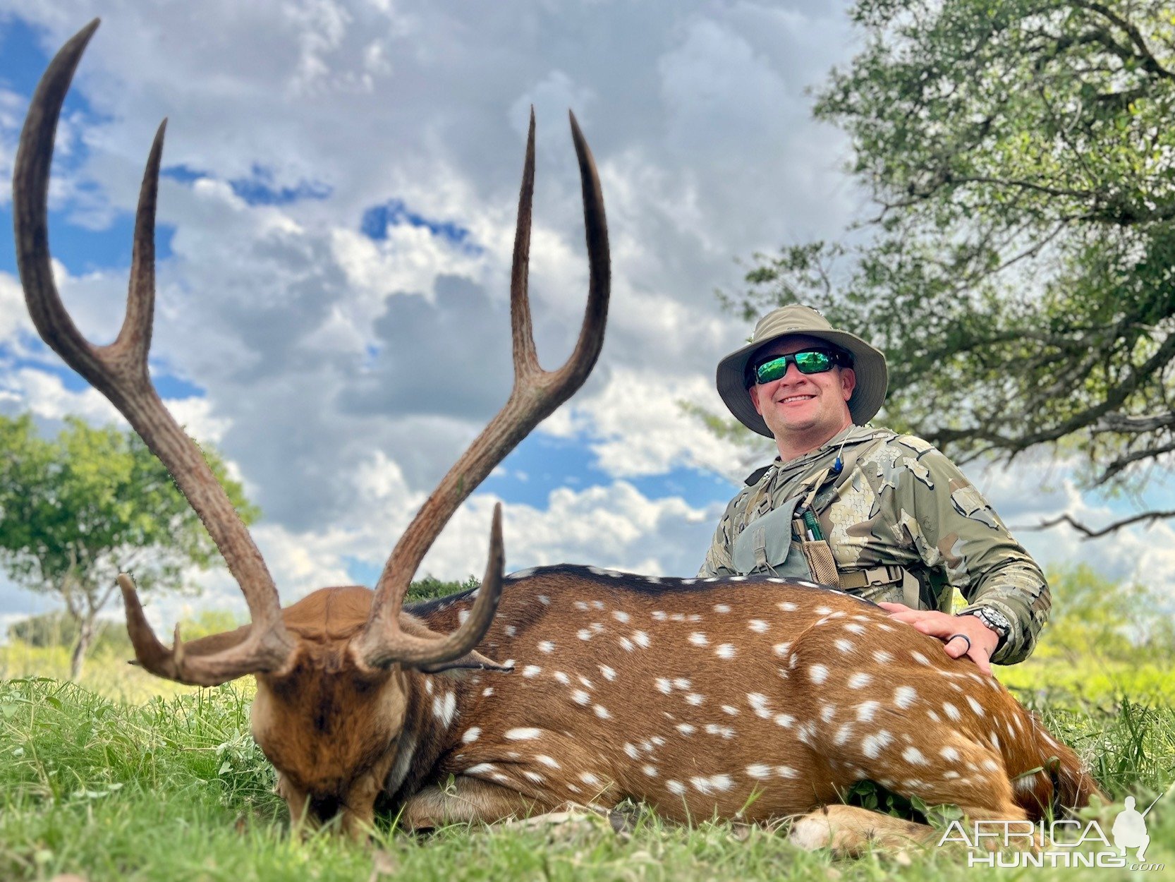 Axis Deer Hunt Texas