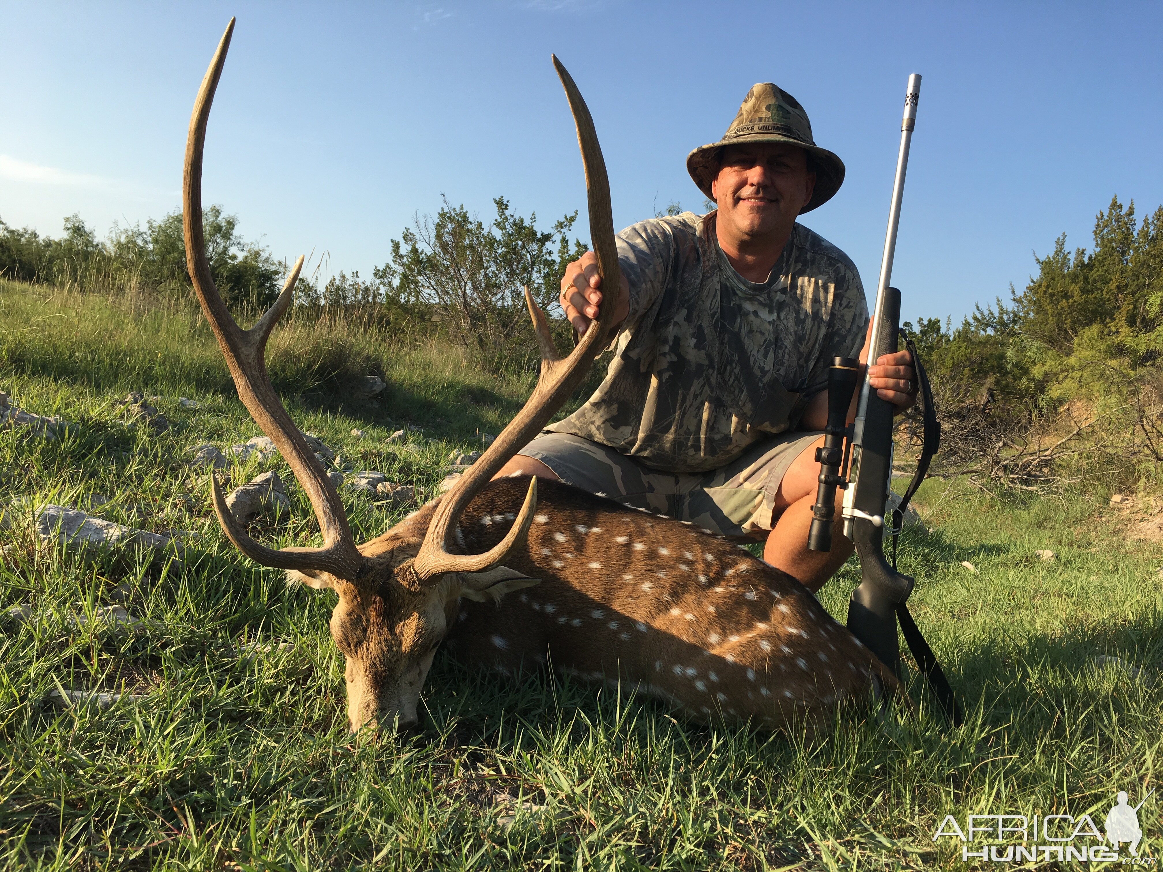 Axis Deer Hunt Texas