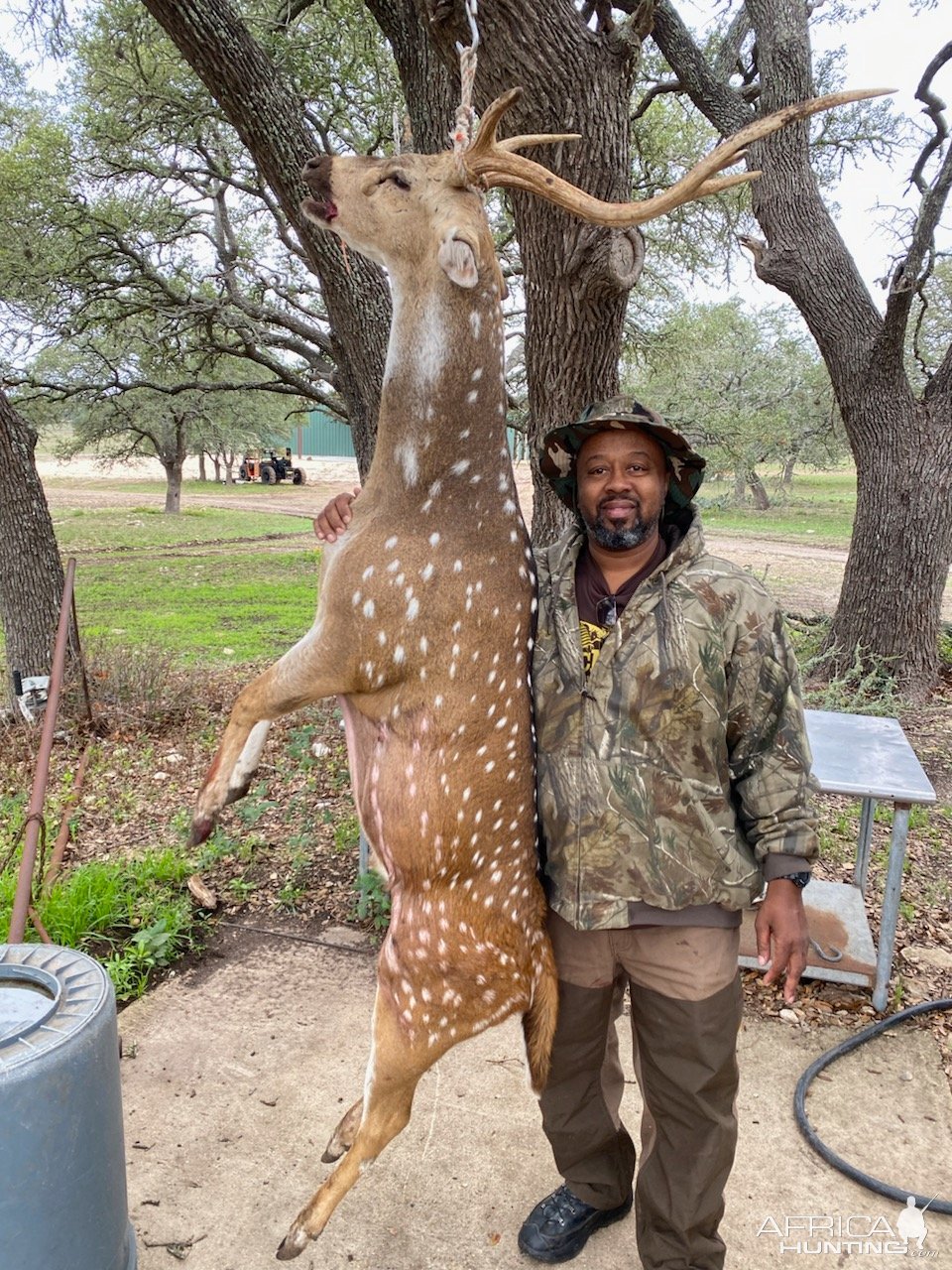 Axis Deer Hunt