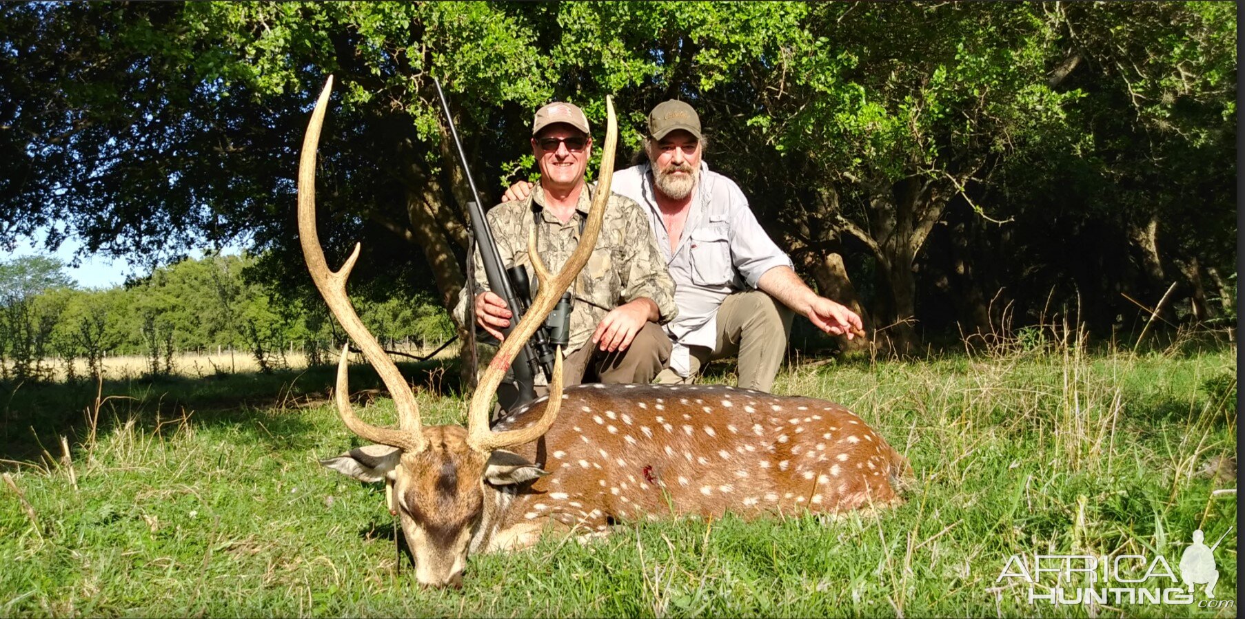 Axis Deer Hunting Argentina