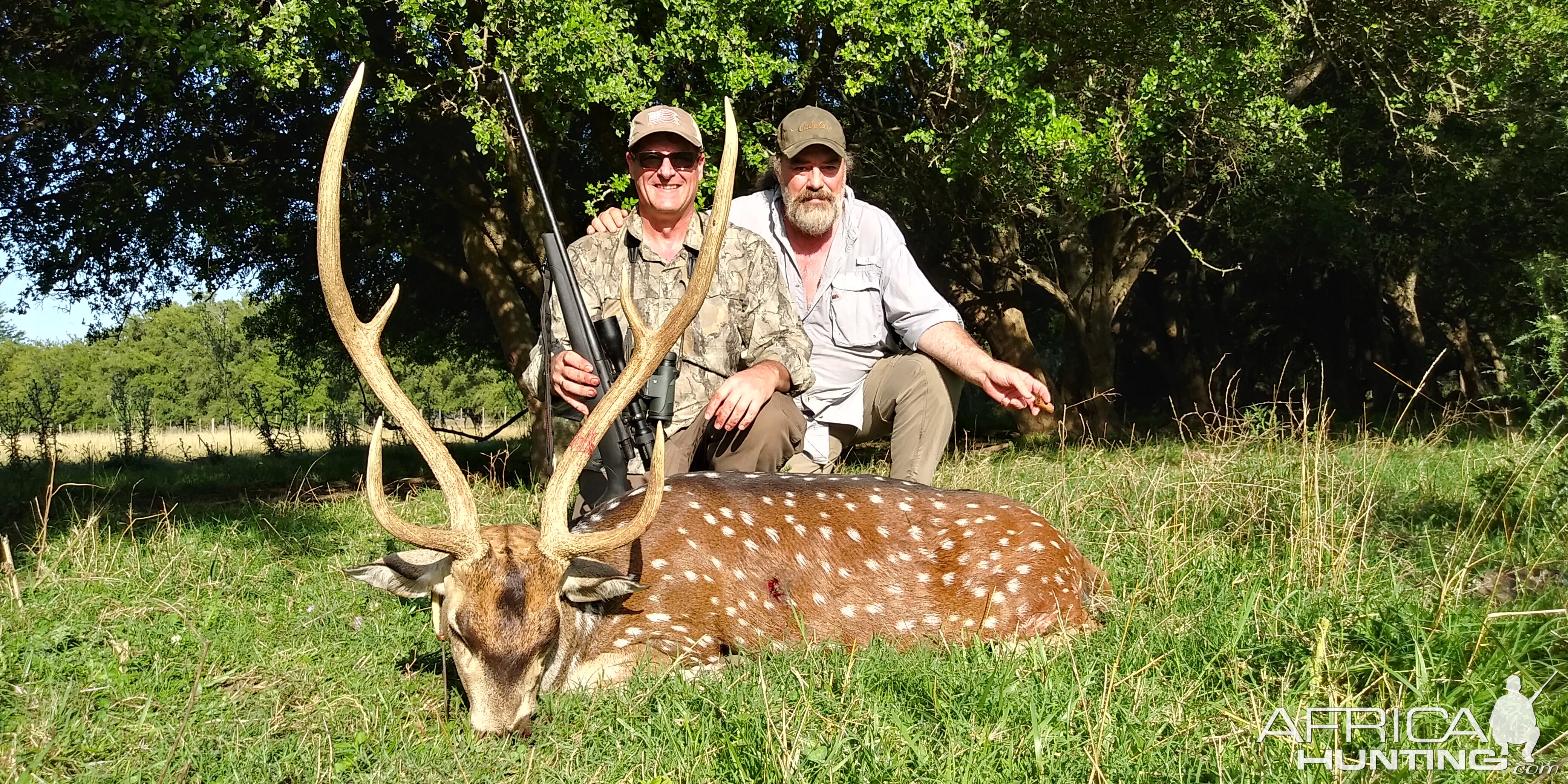 Axis Deer Hunting Argentina