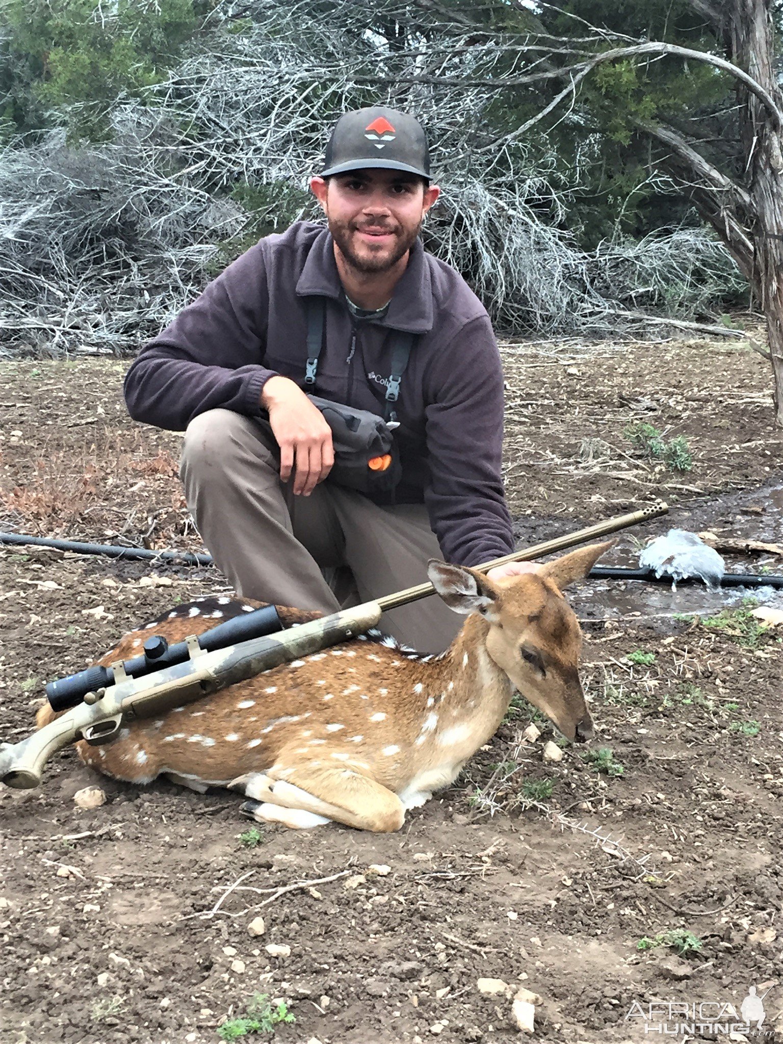 Axis Doe Hunt Texas