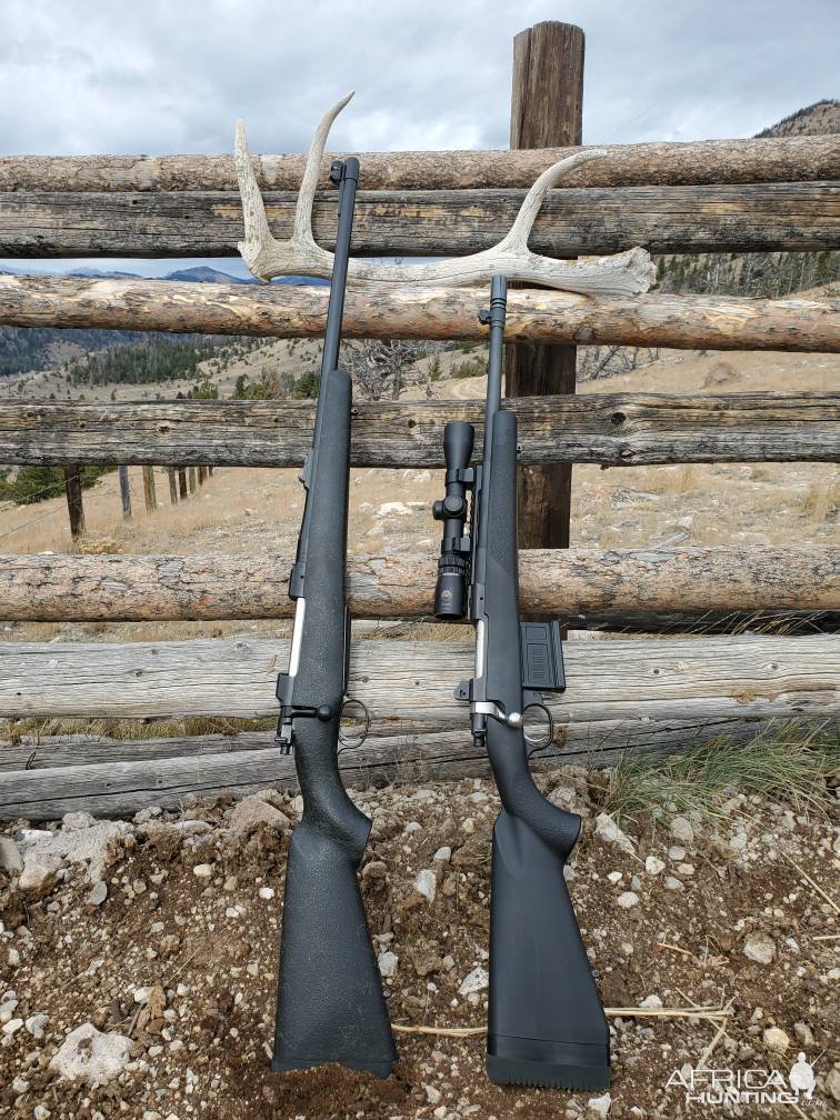 B & M Rifles