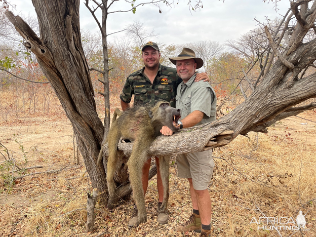 Baboon Hunt Mozambique