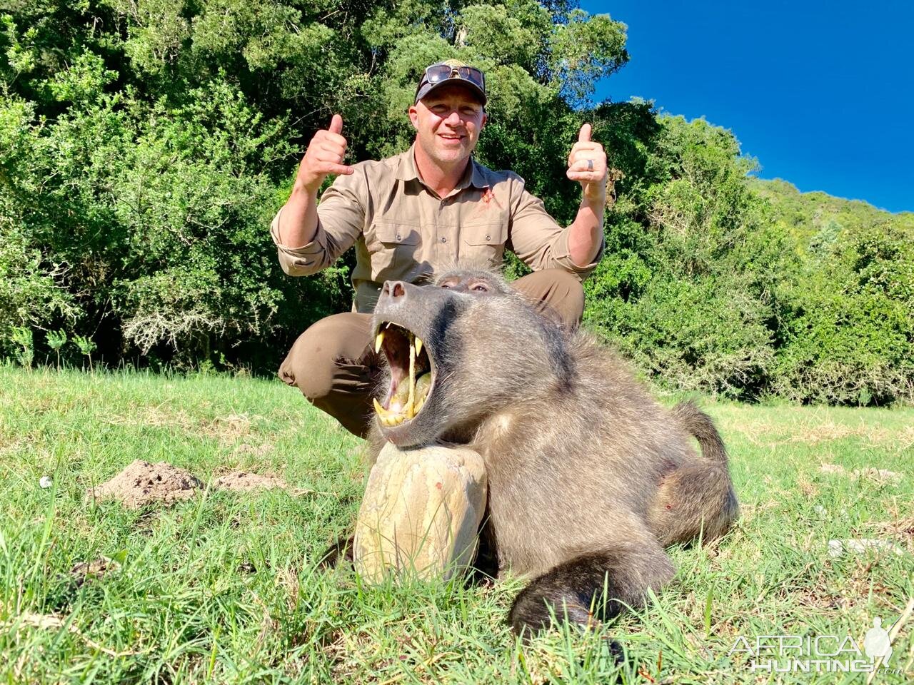 Baboon Hunt South Africa