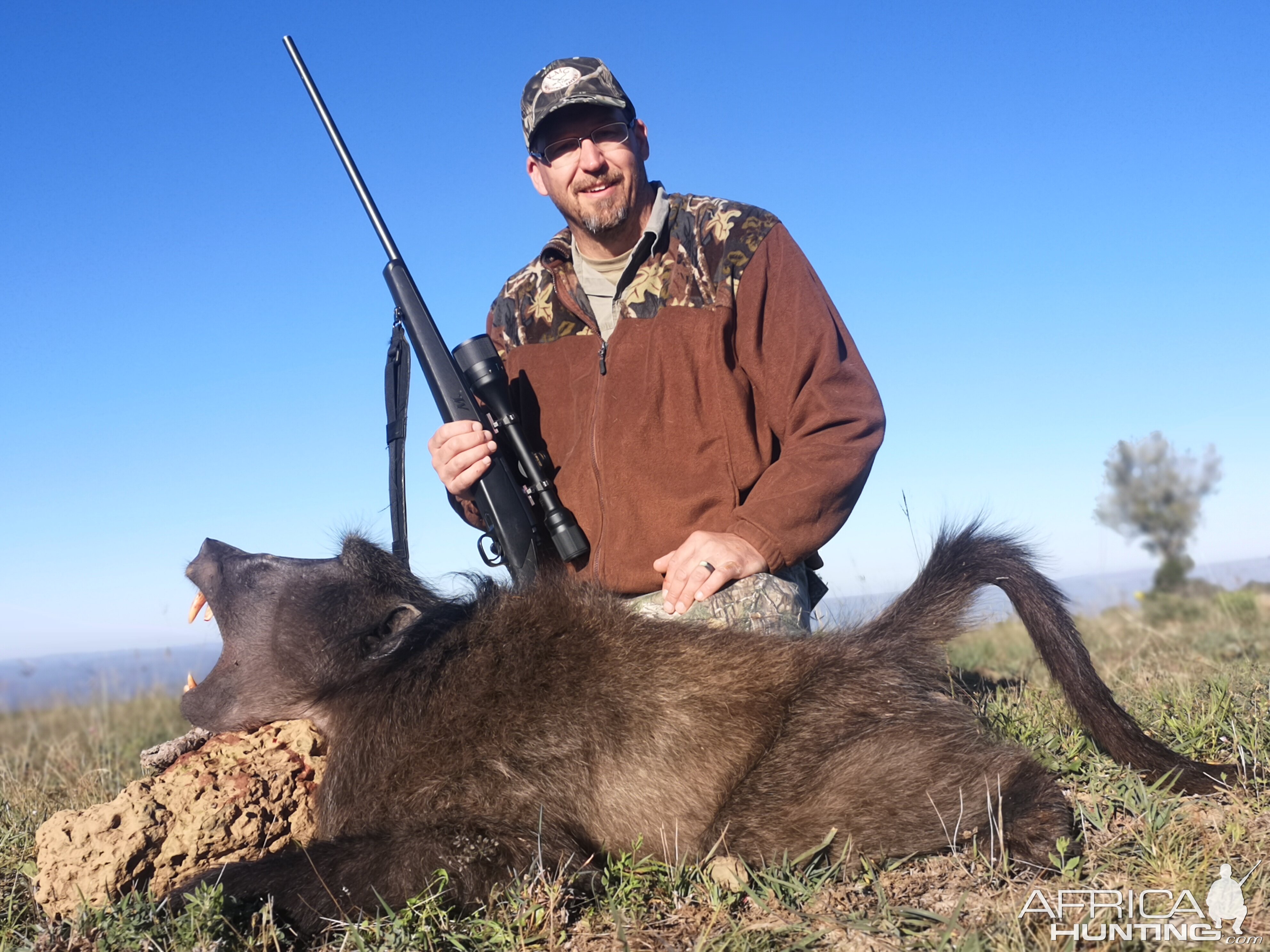 Baboon Hunt South Africa