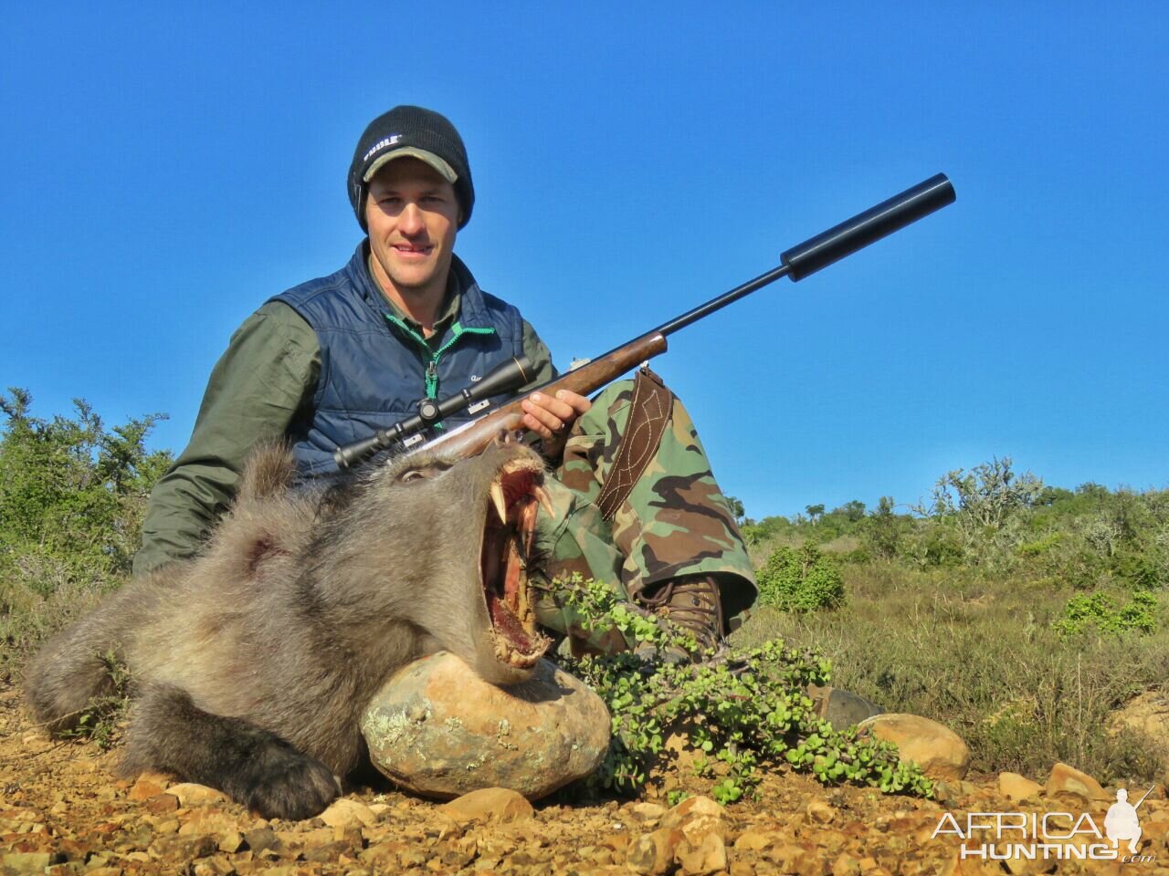 Baboon Hunt South Africa