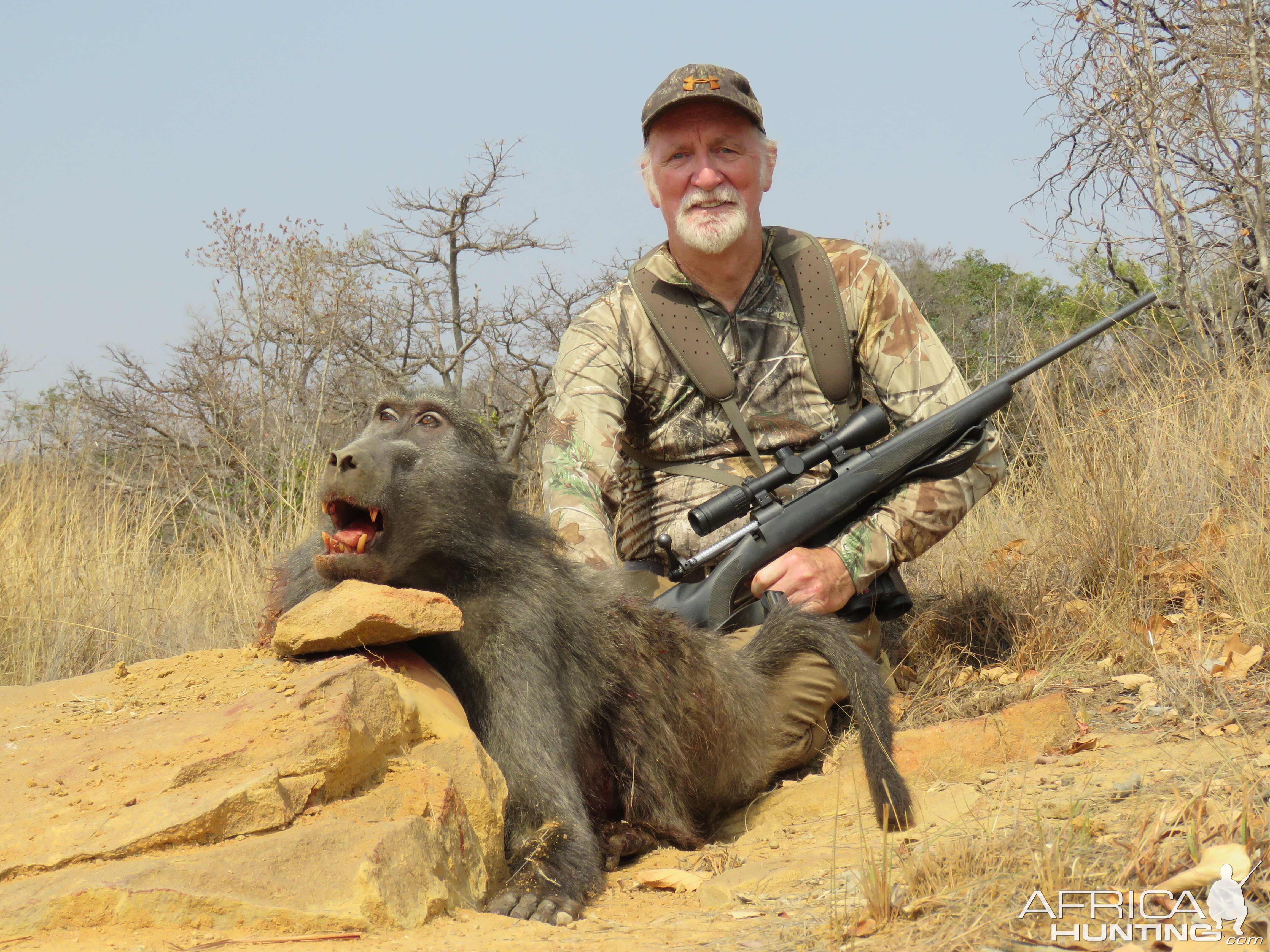 Baboon Hunting South Africa