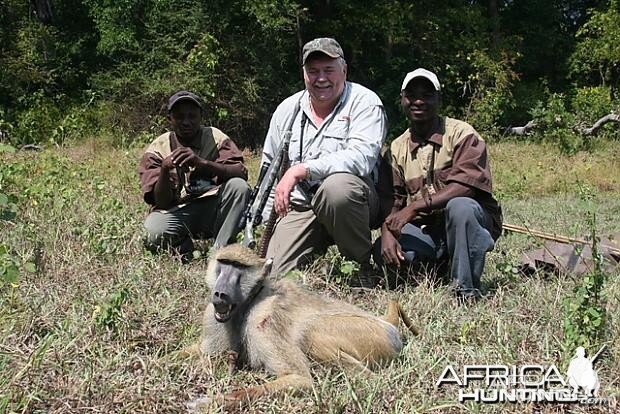 Baboon Tanzania