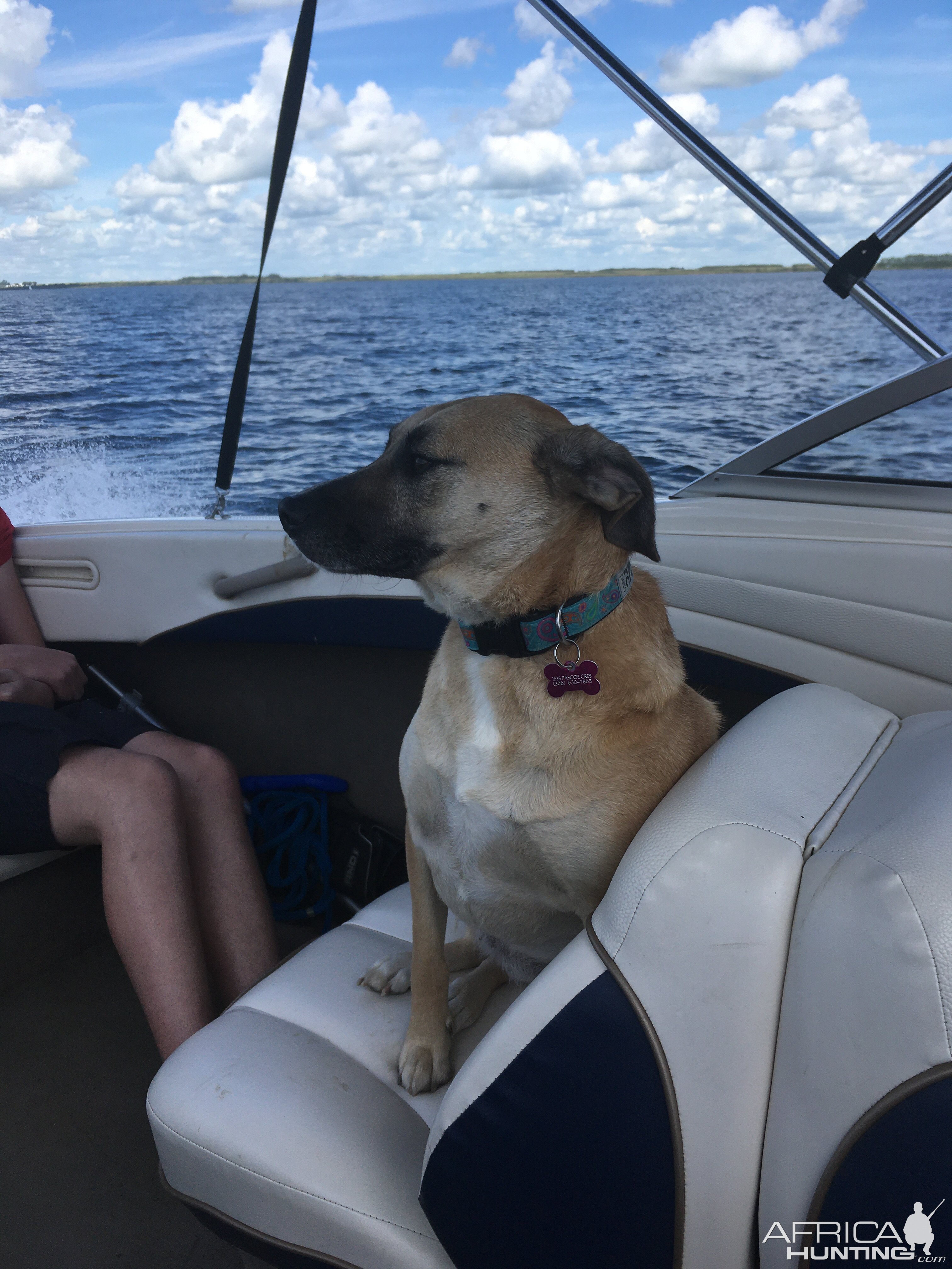 Bailey on her first boat ride