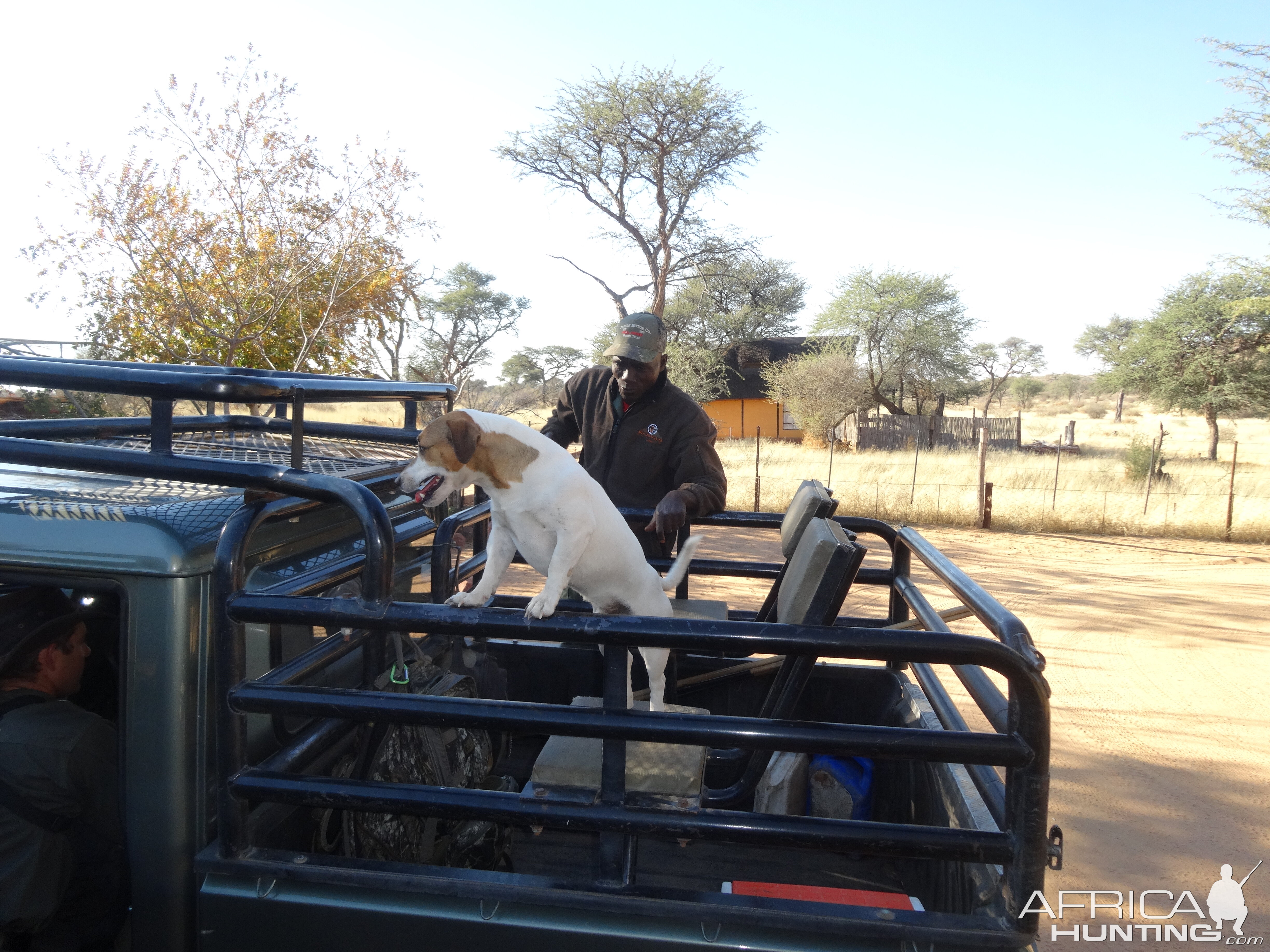 Bakkies in the bakkie