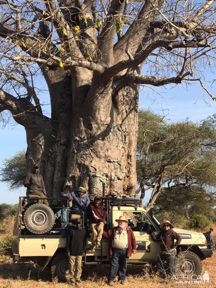 Baobab Tree Masailand Tanzania