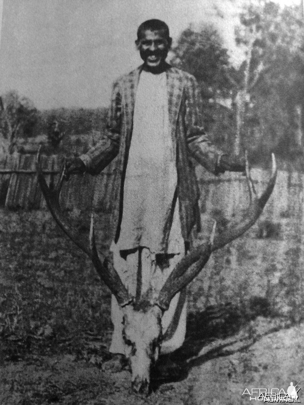Barasingha or Swamp deer (Rucervus duvaucelii) Trophy