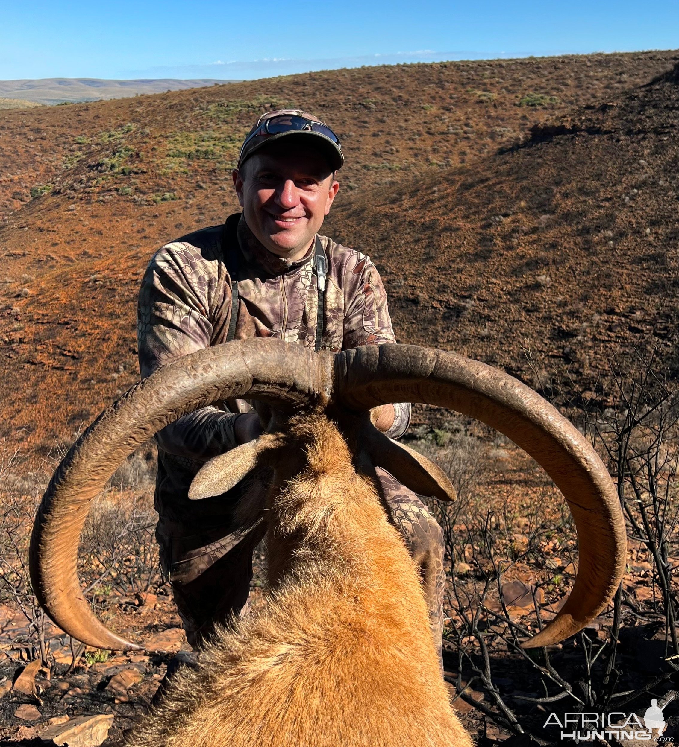 Barbary Sheep South Africa with Bayly Sippel Safaris