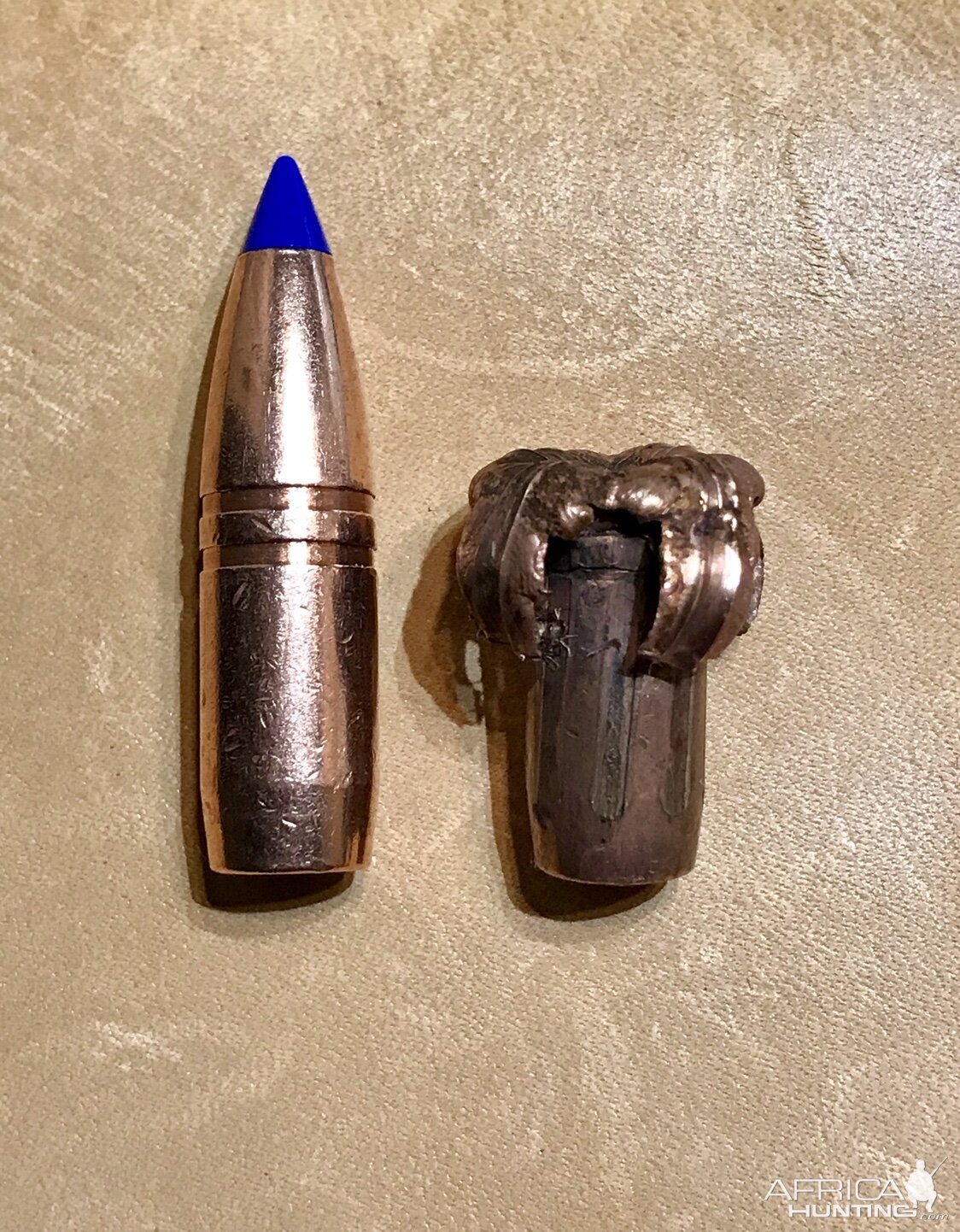 Barnes LRX 270gr Bullet Performance
