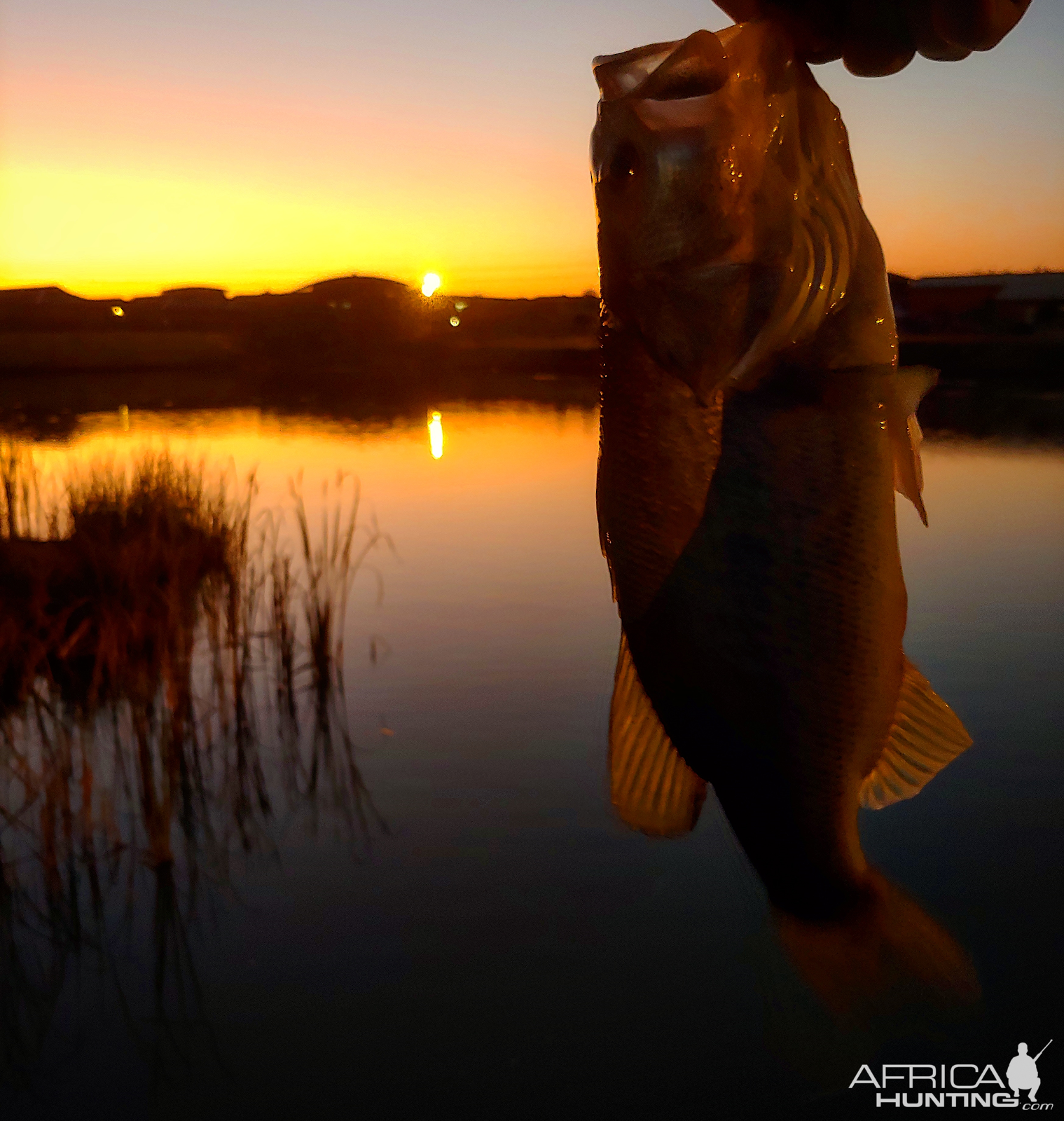 Bass Fishing South Africa