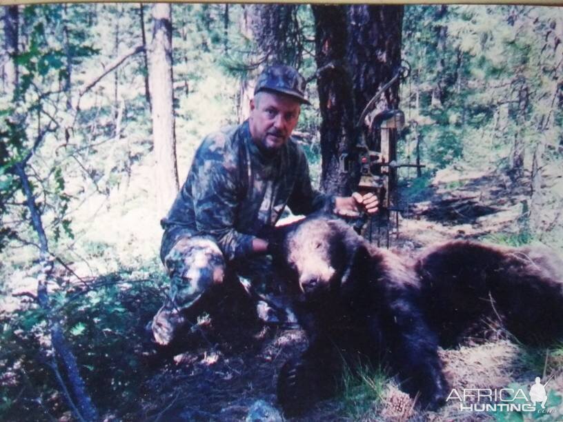Bear Bow Hunt Arizona USA