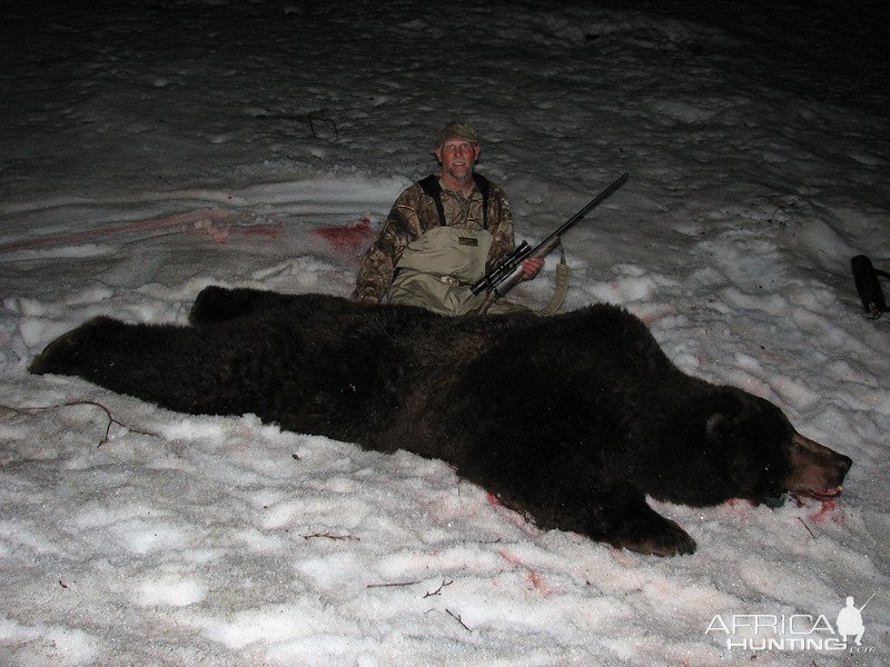 Bear Hunt Alaska