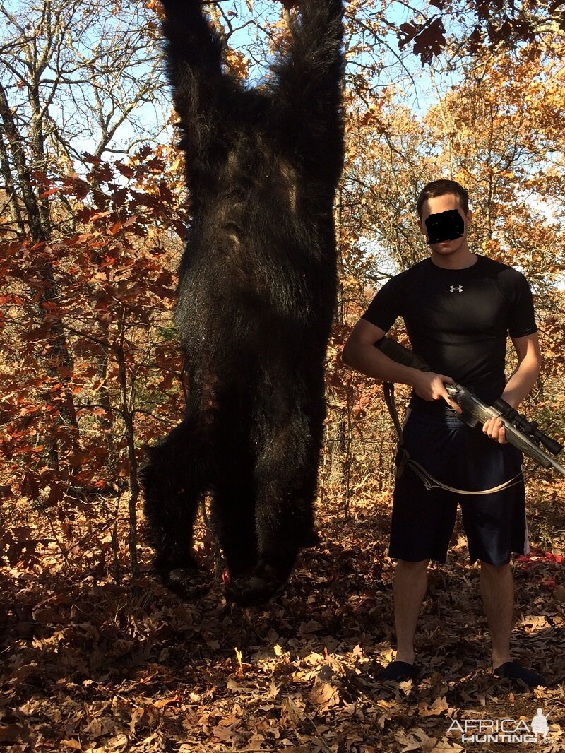 Bear Hunting