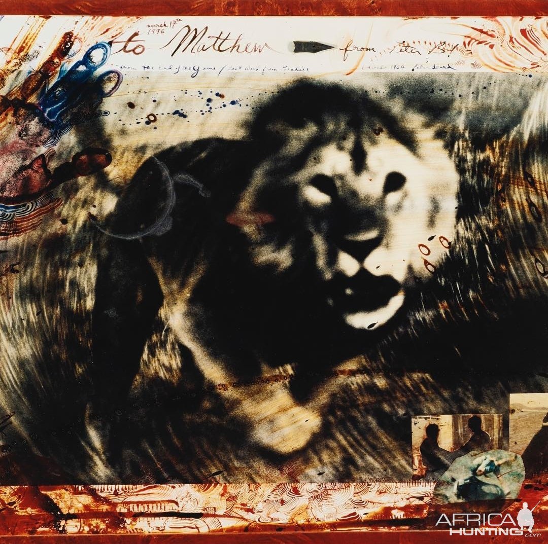 Beautiful capture of a charging lion in thick bush, by Peter Beard