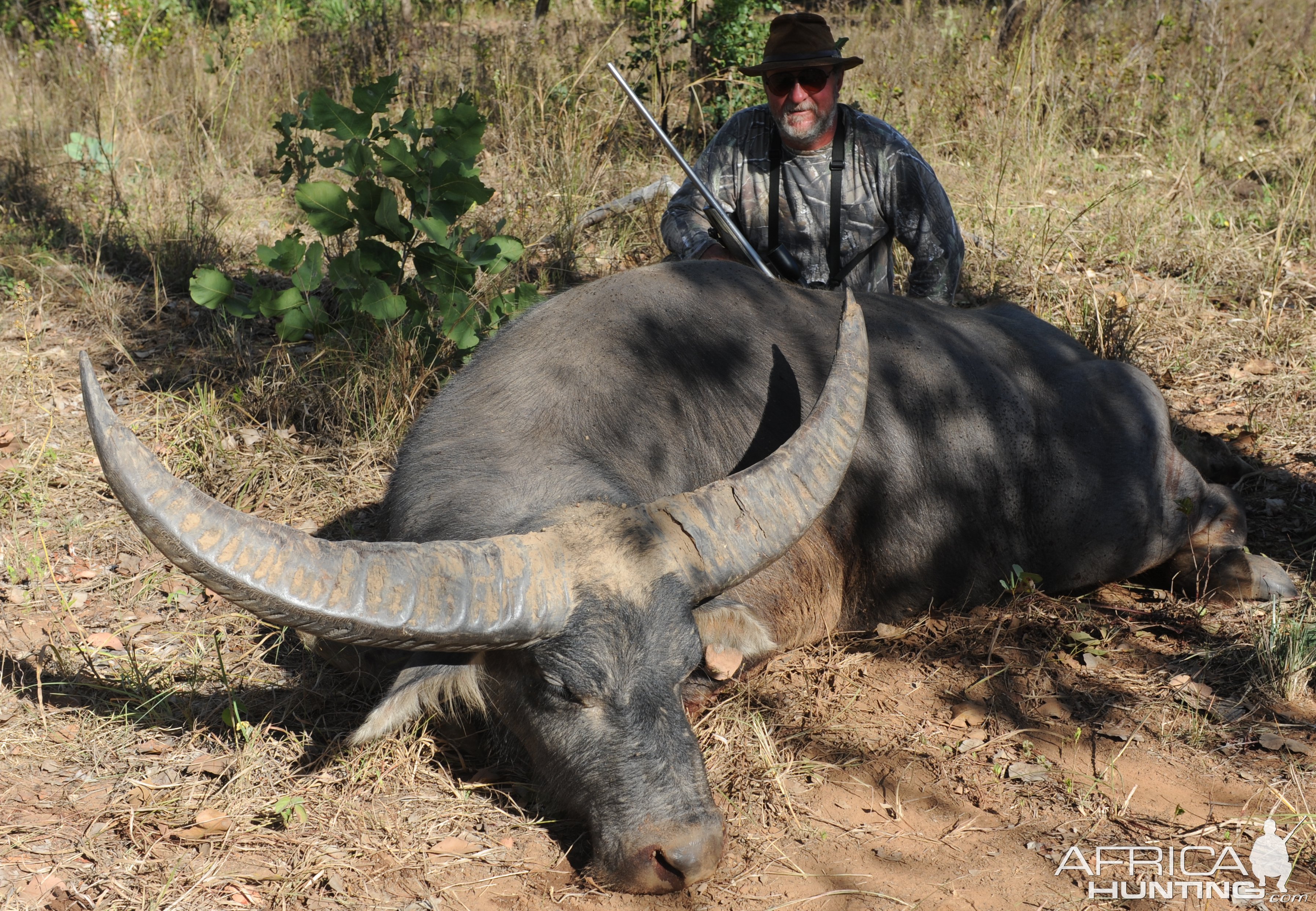 Beautiful gold medal 108" trophy buffalo courtesy of outfitter Karl Goodhand