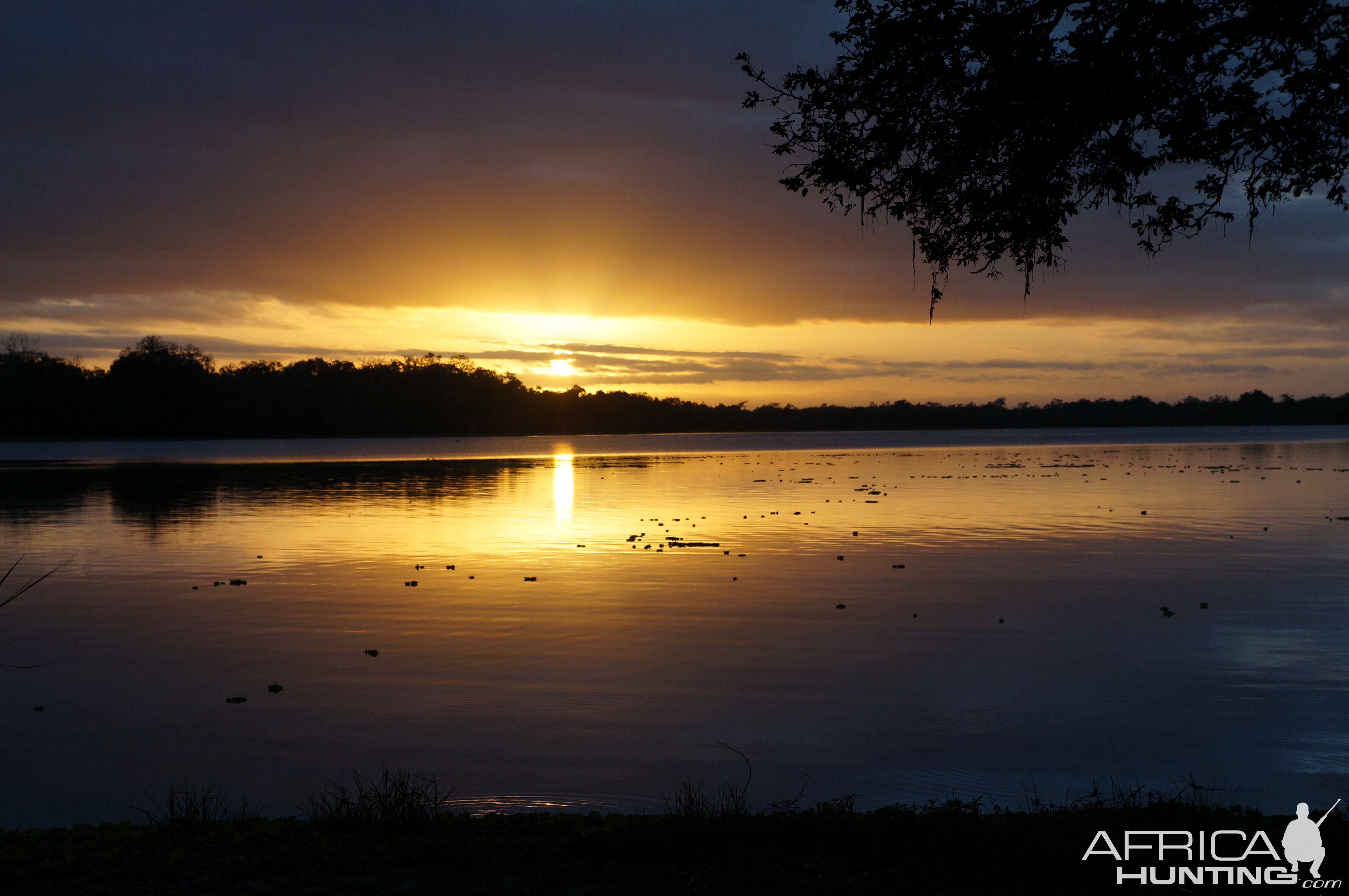 Beautiful Sunrise Lake Utunge Selous