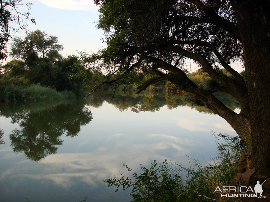 Beautiful view of the river