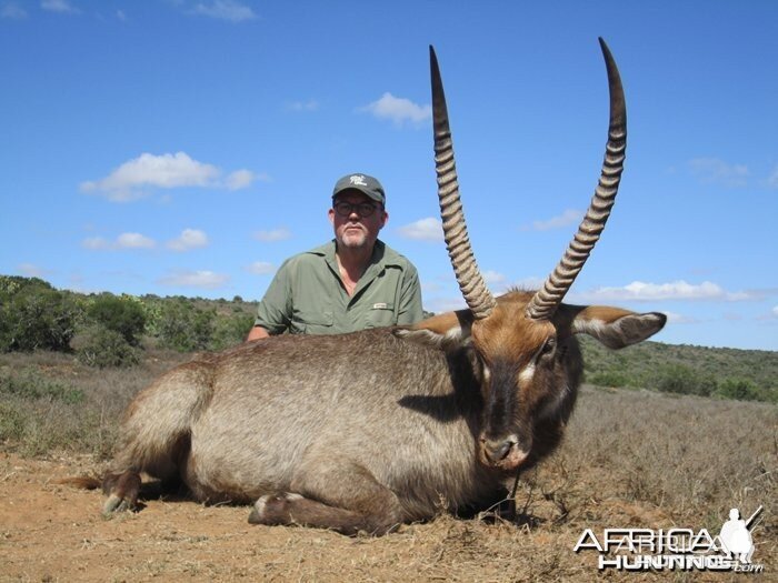 Beautiful Waterbuck Trophy