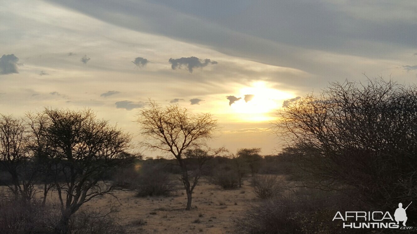 Beauty of the Kalahari
