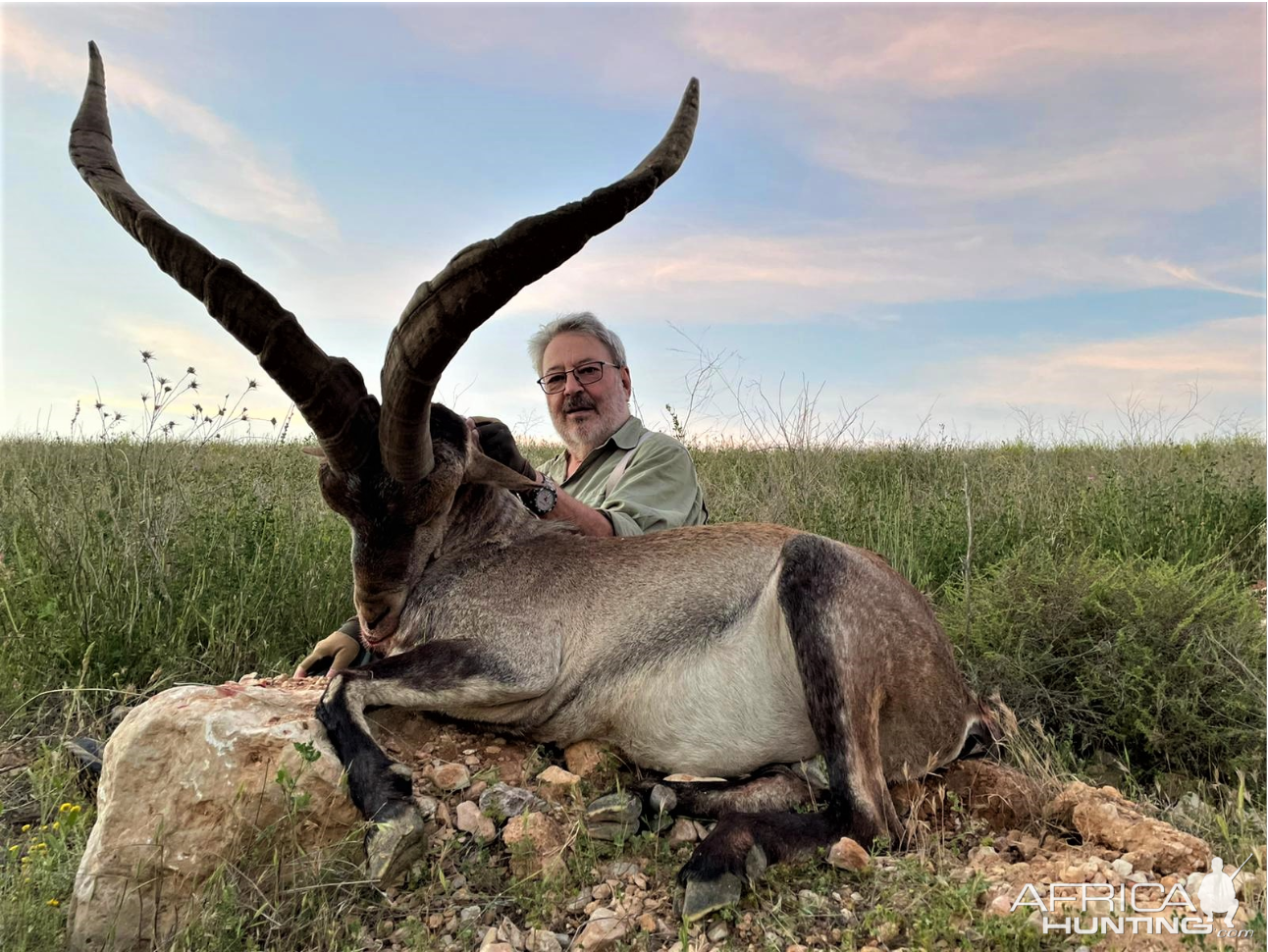 Beceite Ibex Hunt Spain