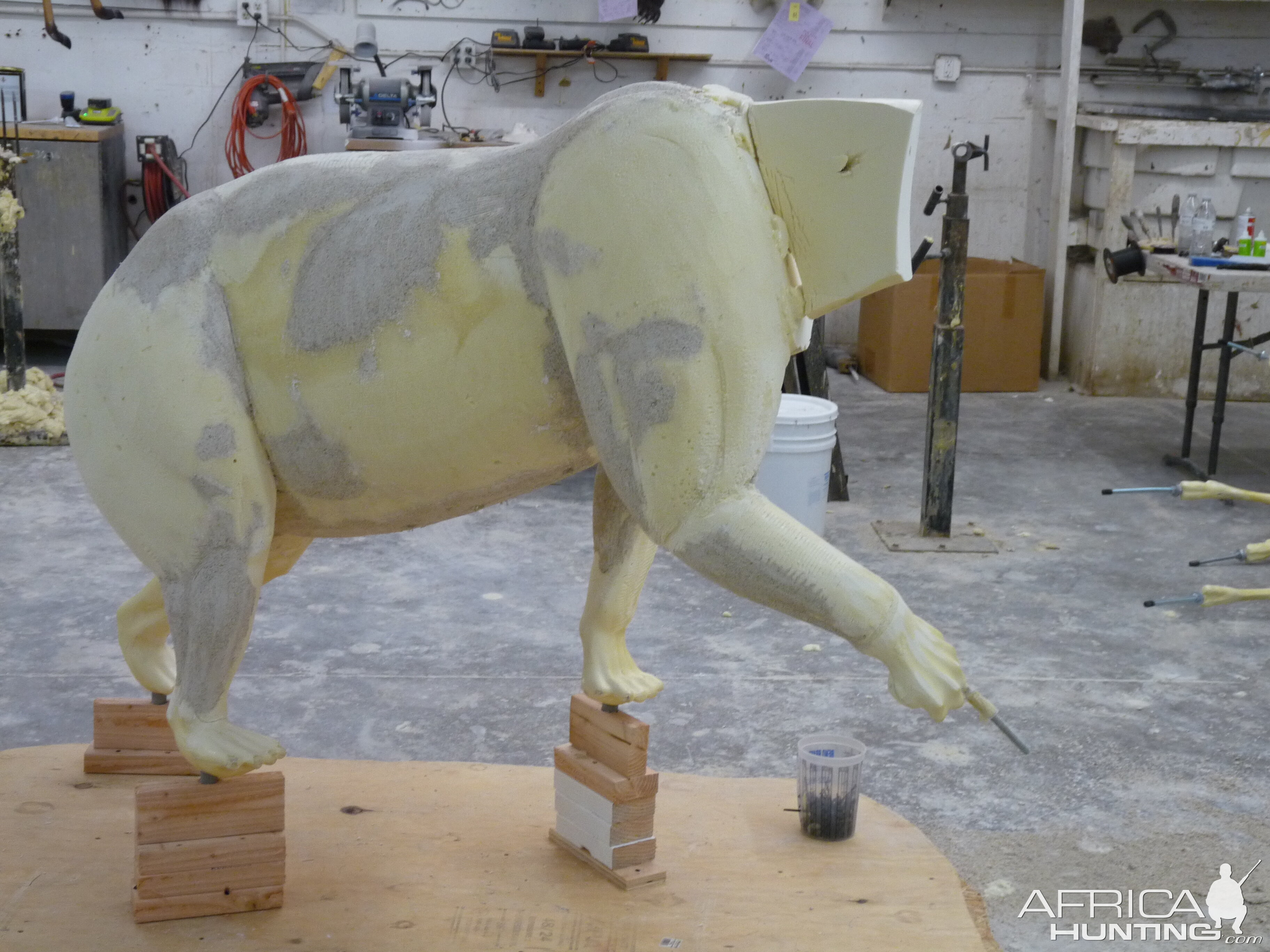 Behind the Scenes: Bear Mount