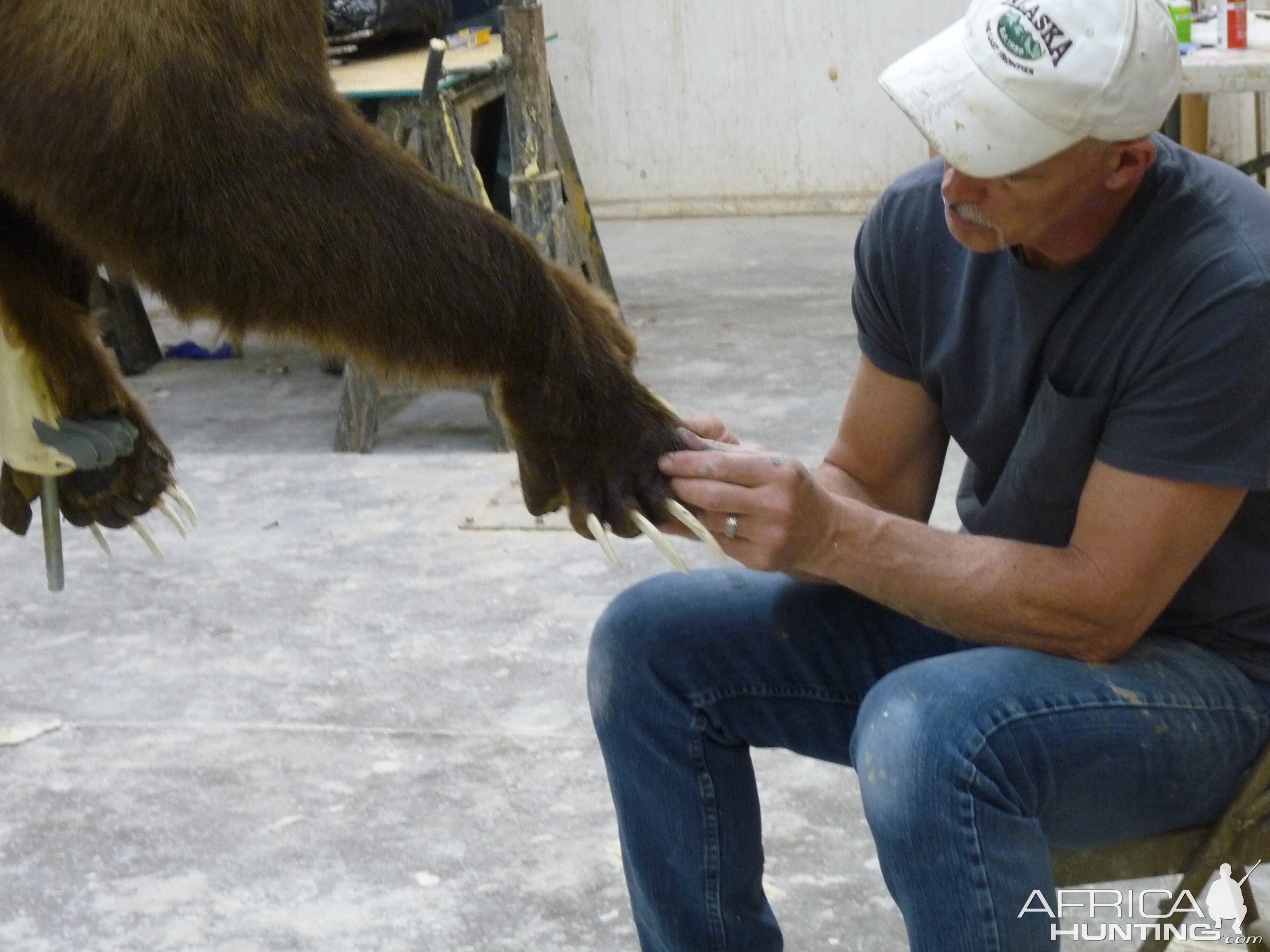 Behind the Scenes: Bear Mount