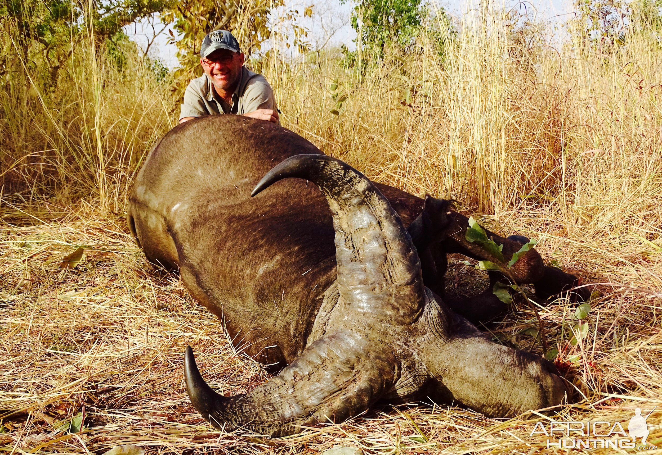 Benin Hunt West African Savanah Buffalo