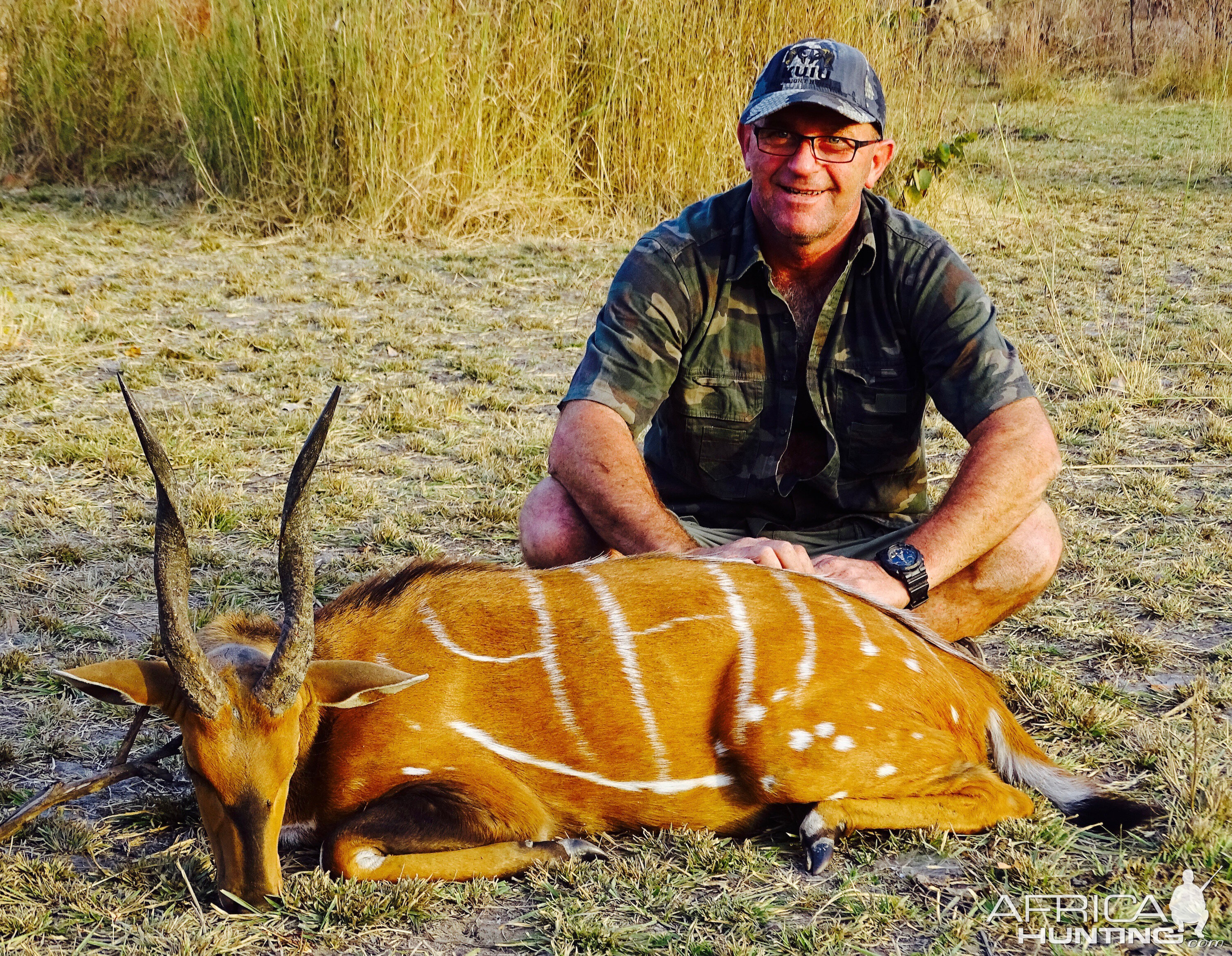 Benin Hunting Harnessed Bushbuck