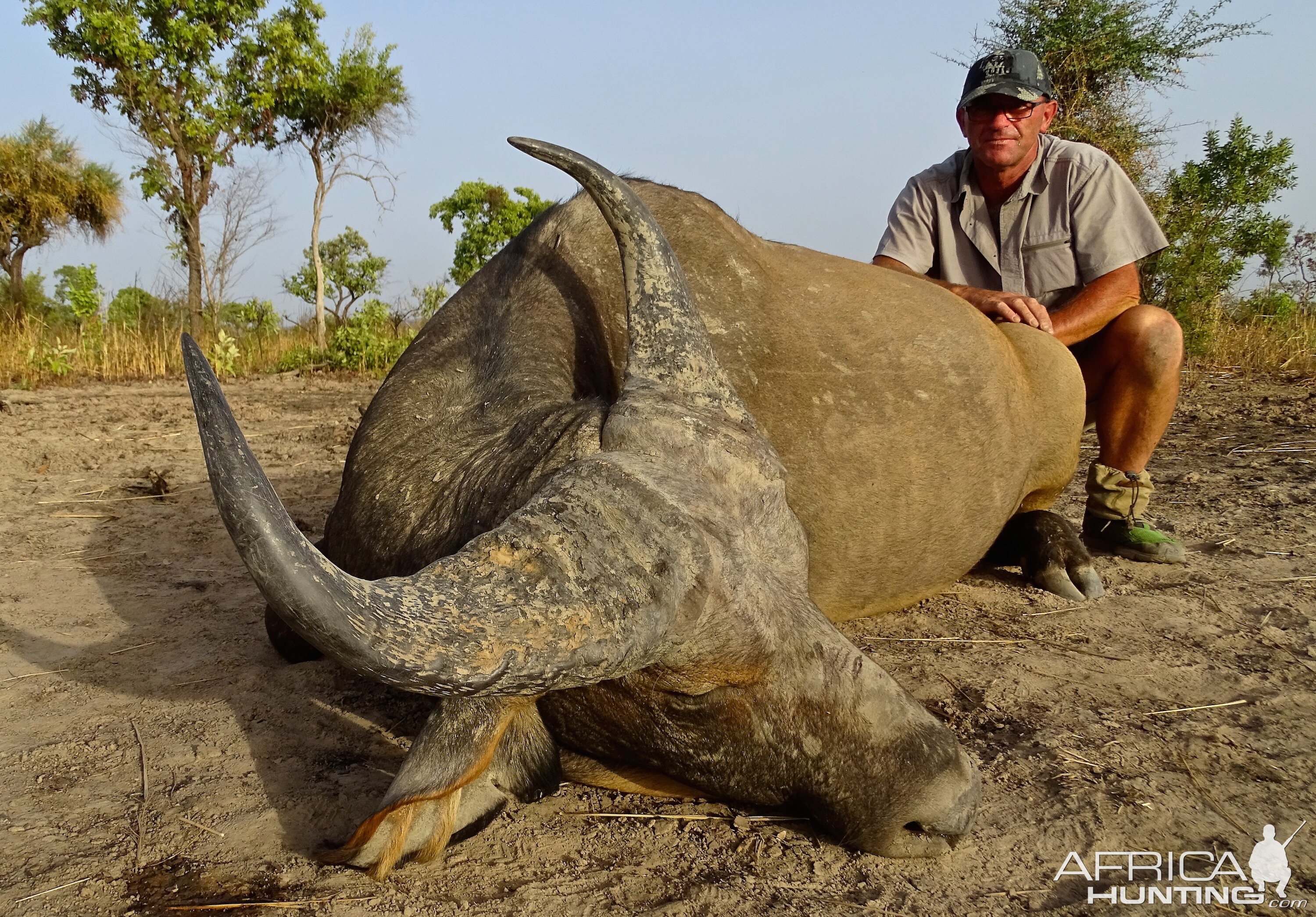 Benin West African Savanna Buffalo Hunt