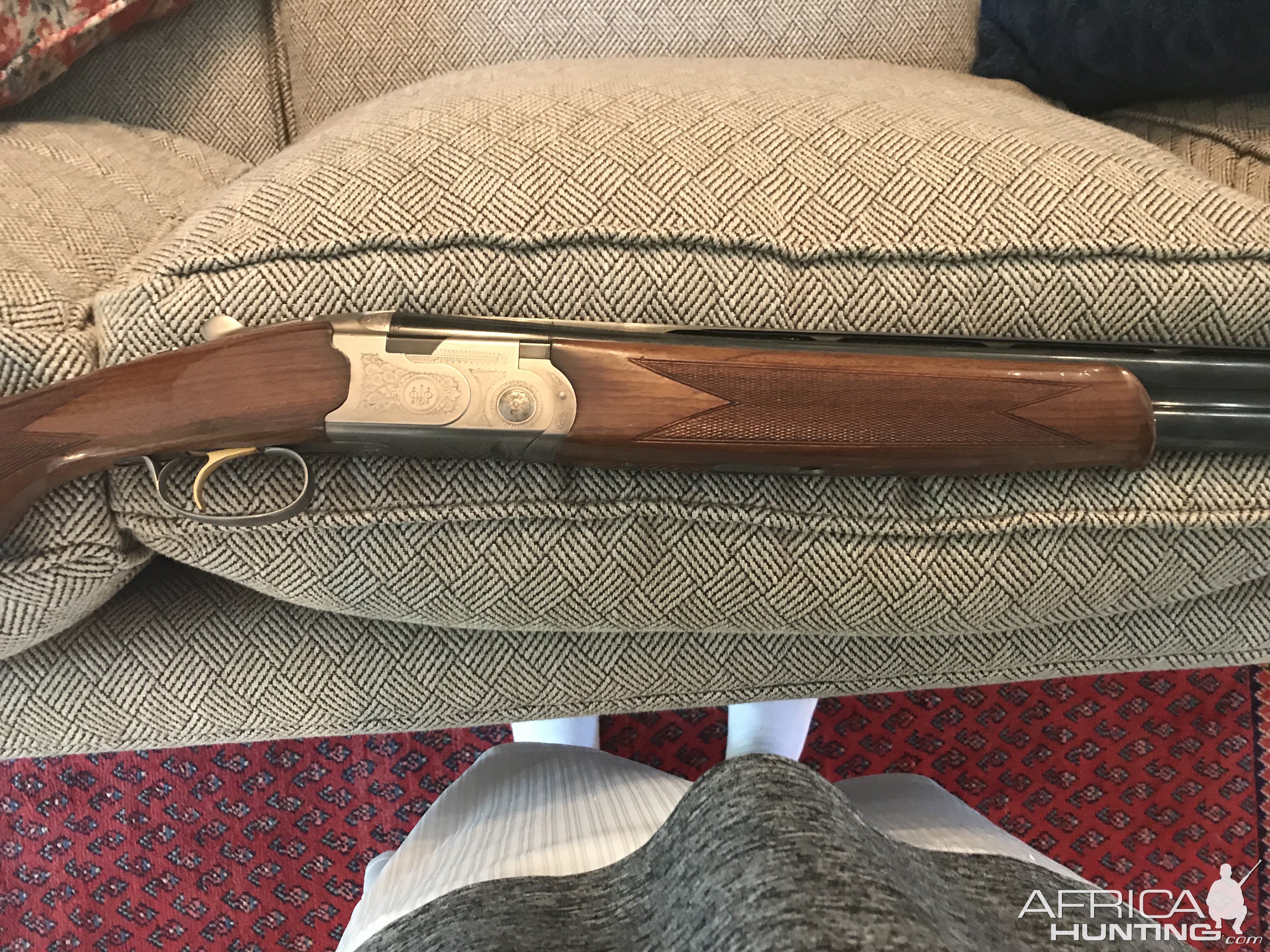 Beretta Silver Pigon in 12 gauge Shotgun