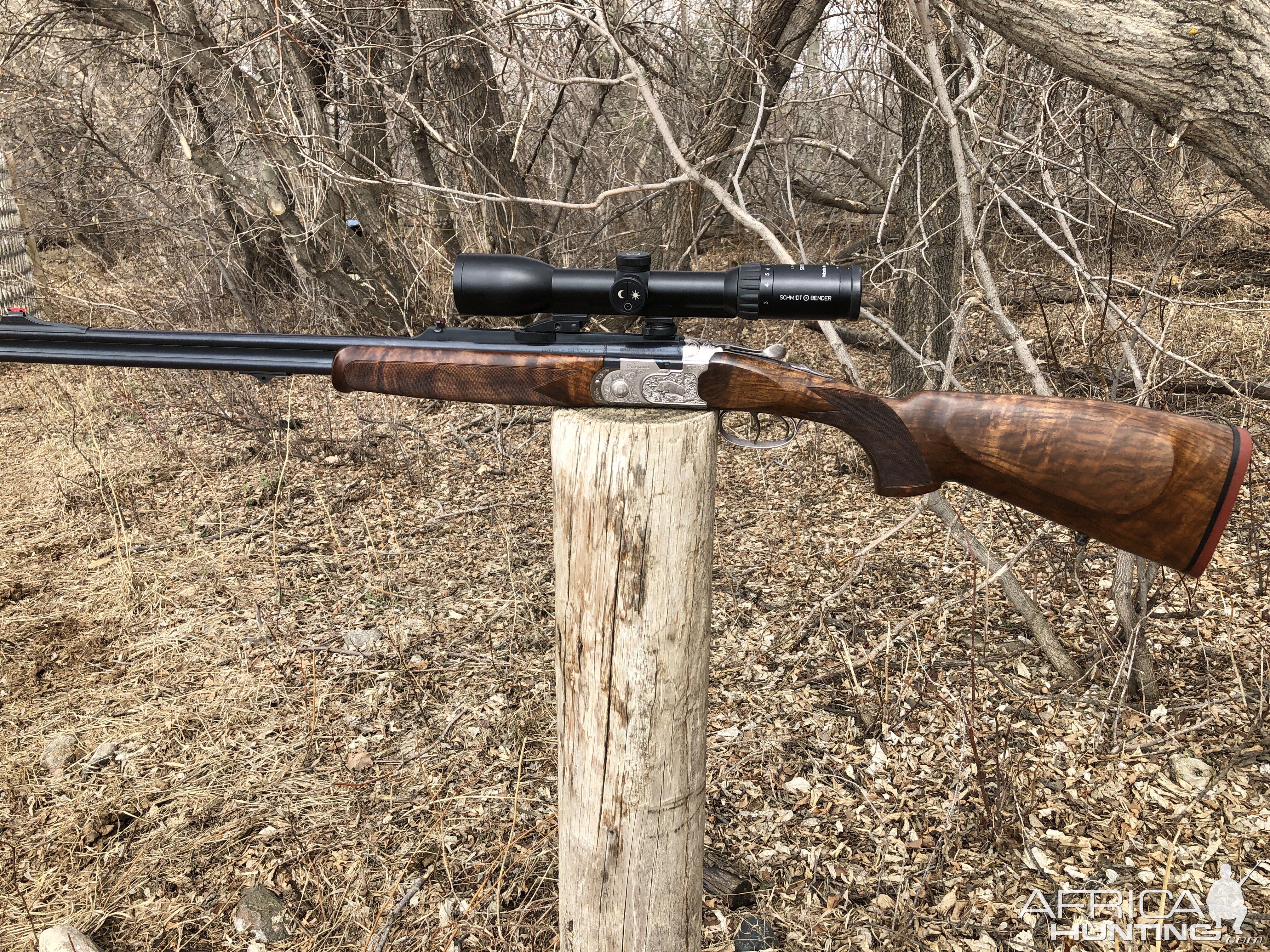 Beretta Silver Sable 9.3x74R Double Rifle