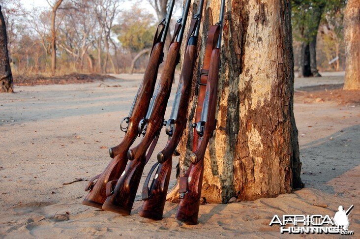 Big Bore Rifles