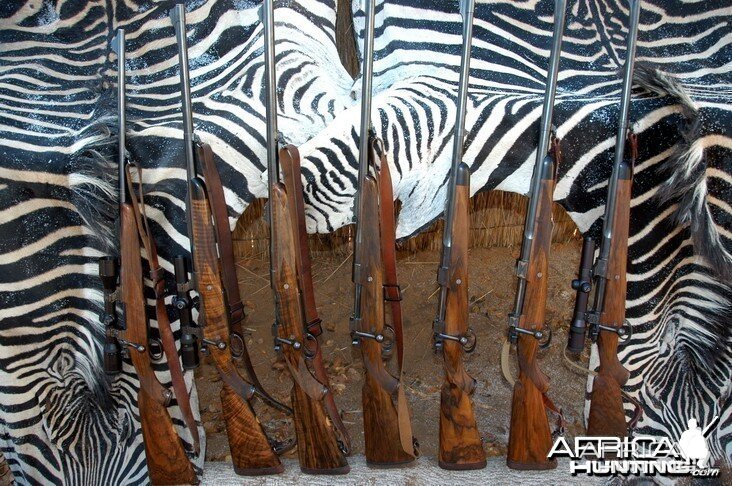 Big Bore Rifles