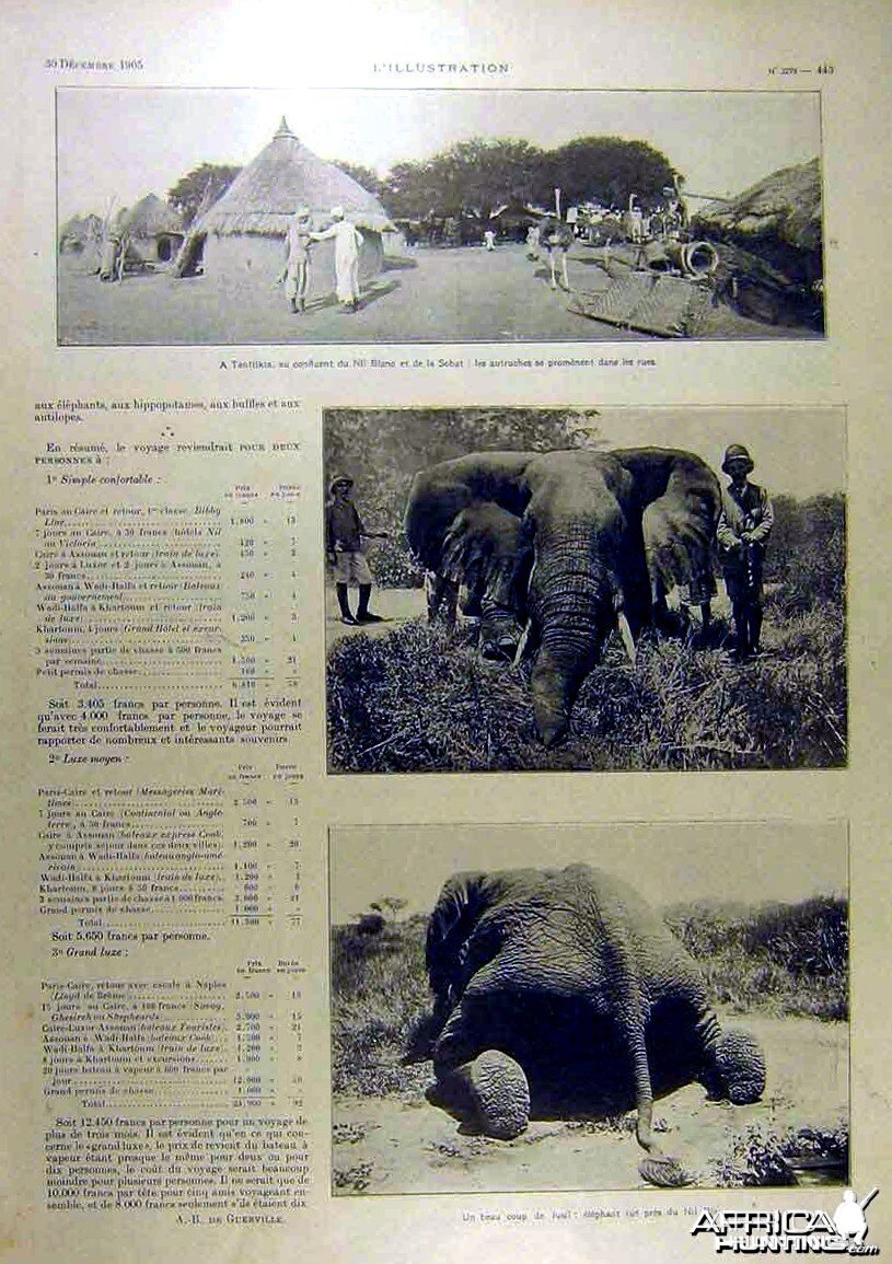 Big Game Elephant Hunt