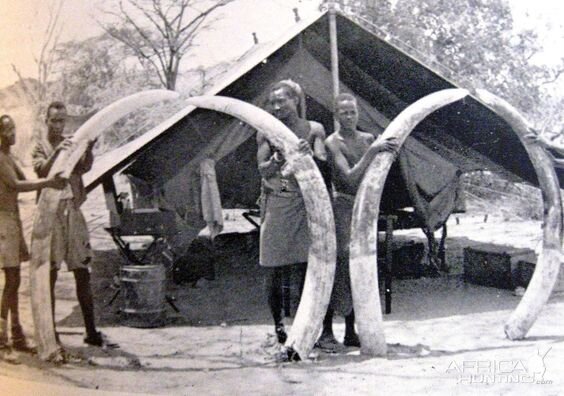 Big Game Hunting Kenya 1958