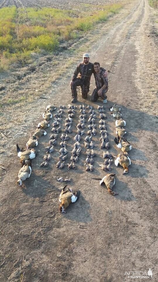 Bird Hunt South Africa