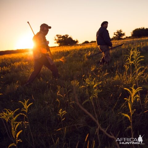 Bird Hunting Argentina