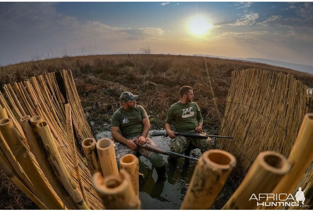 Bird Hunting South Africa